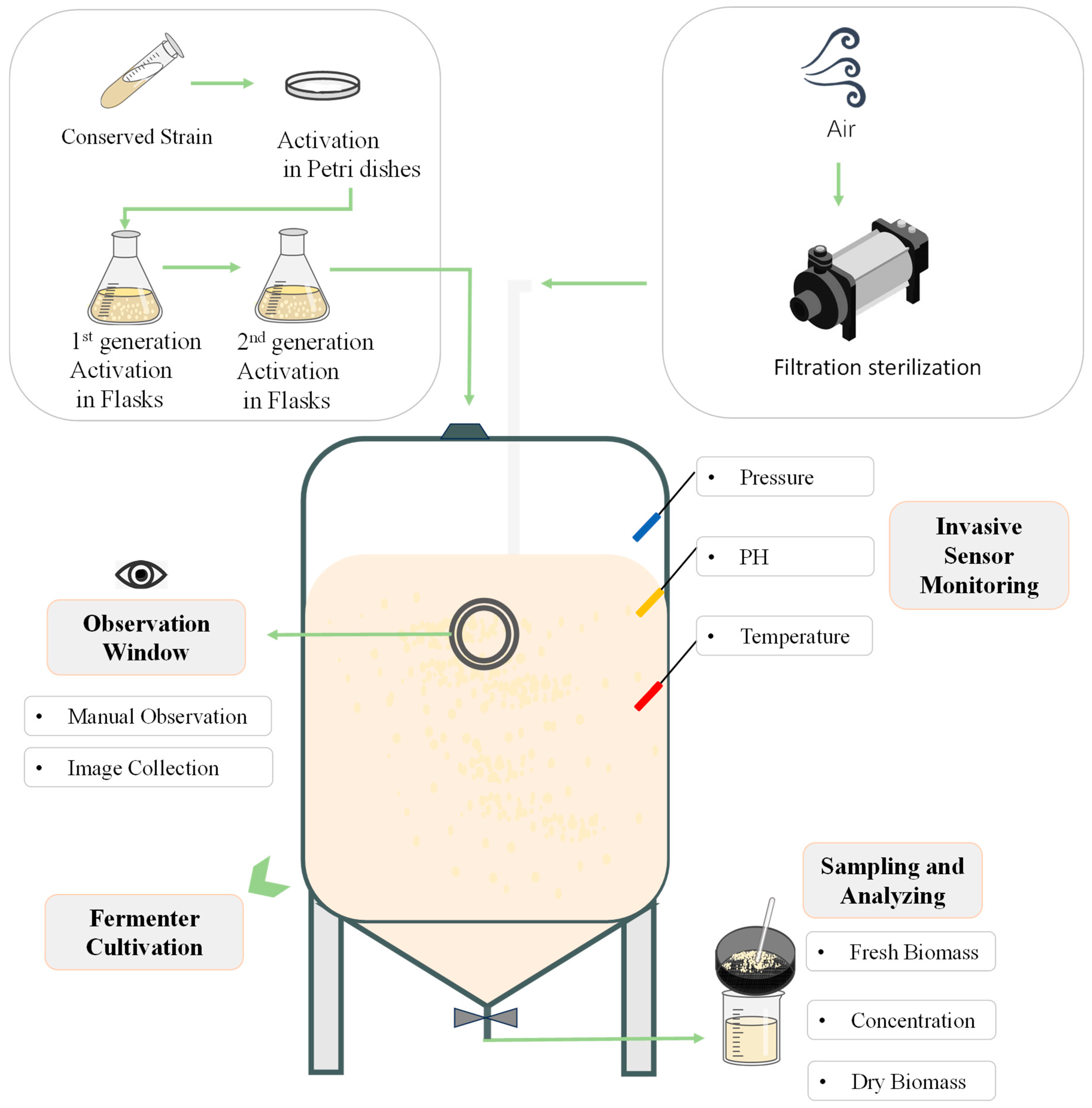 Agronomy 15 00242 g001