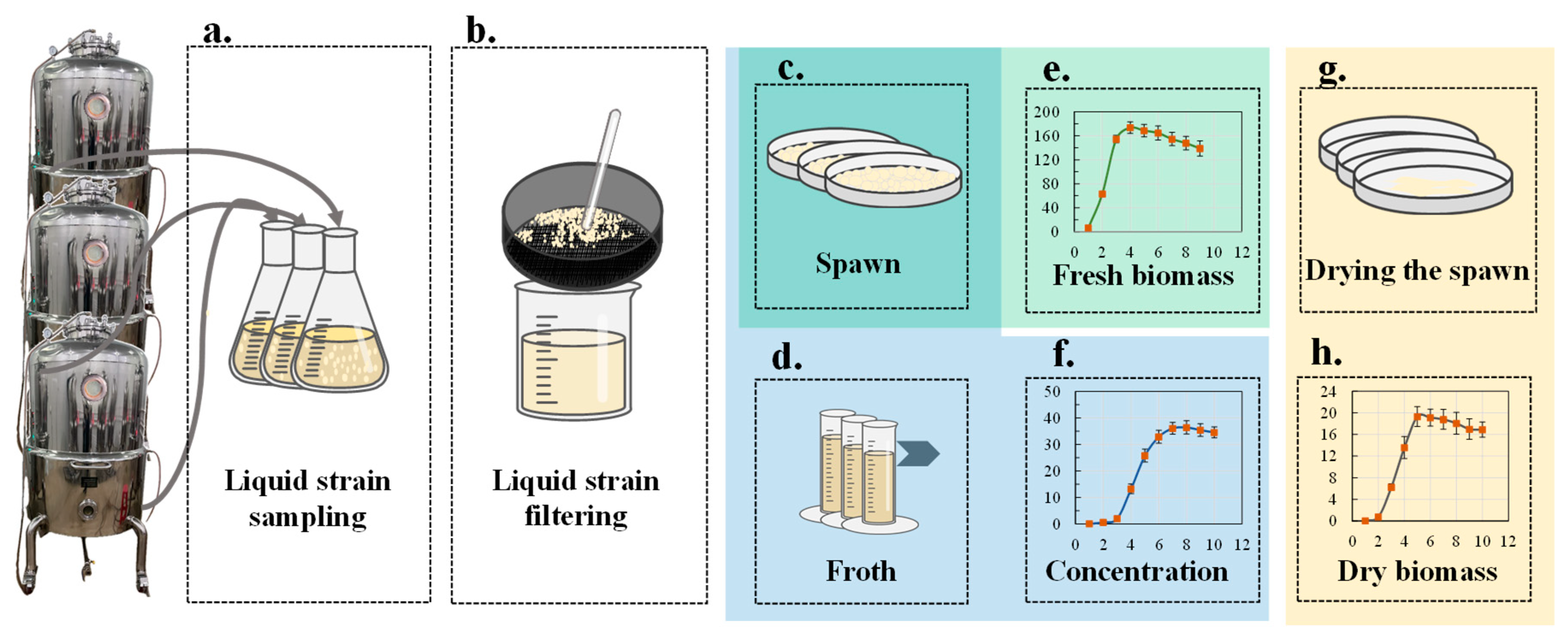 Agronomy 15 00242 g002