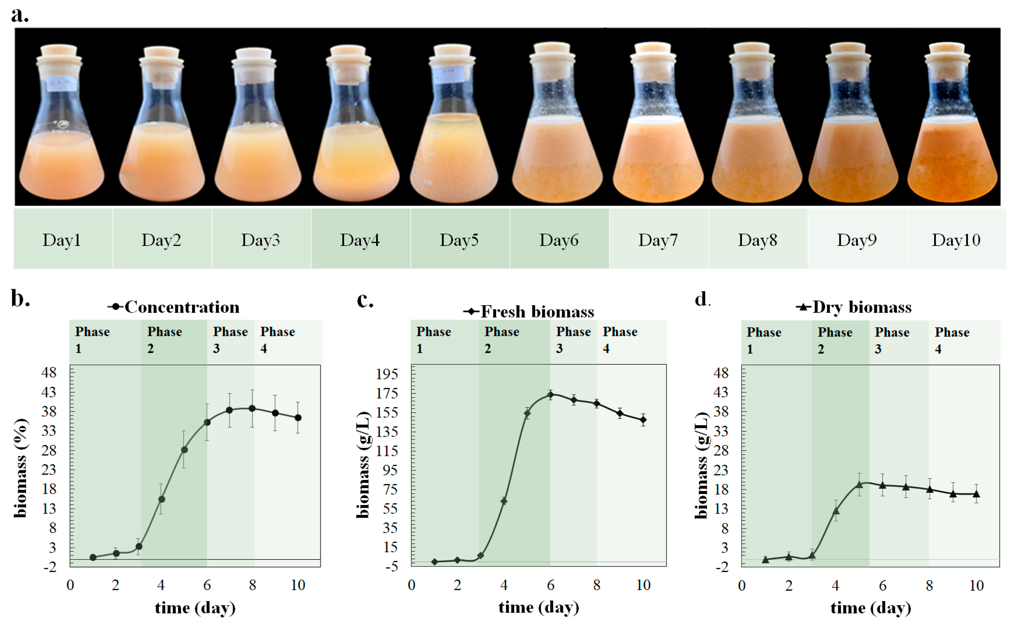 Agronomy 15 00242 g006