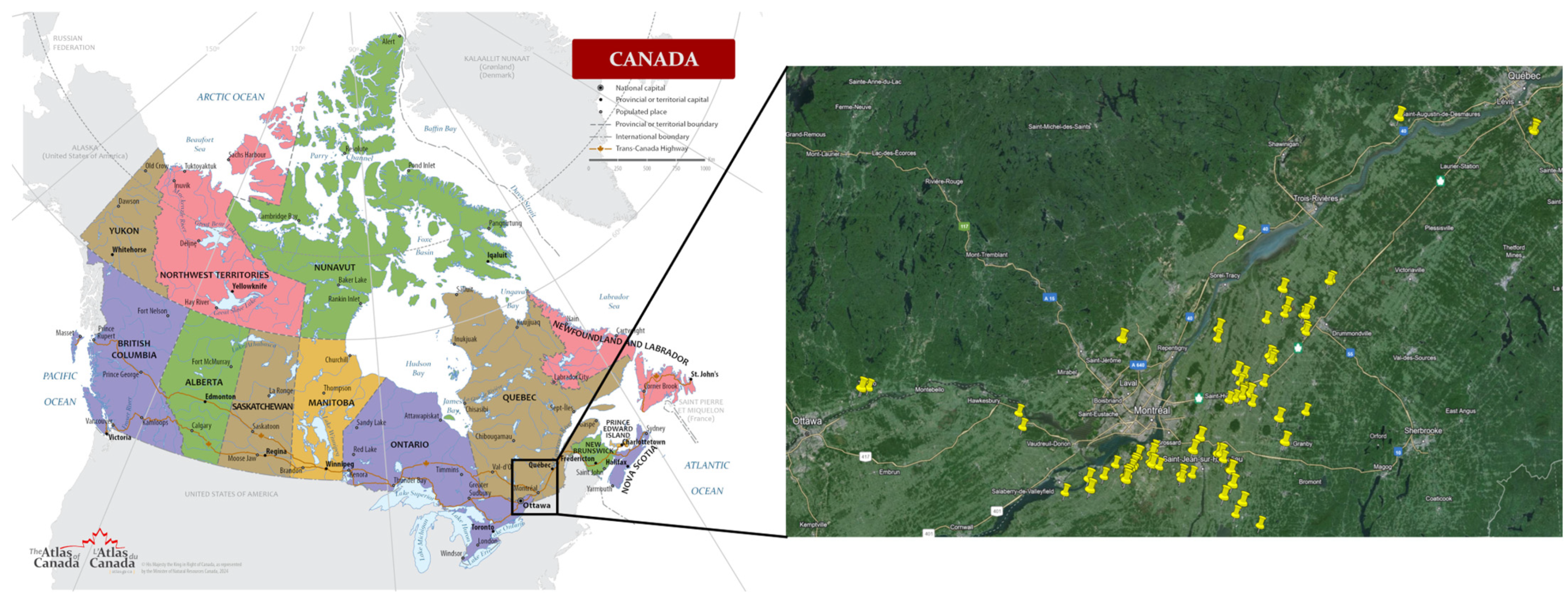 Agronomy 15 00244 g001