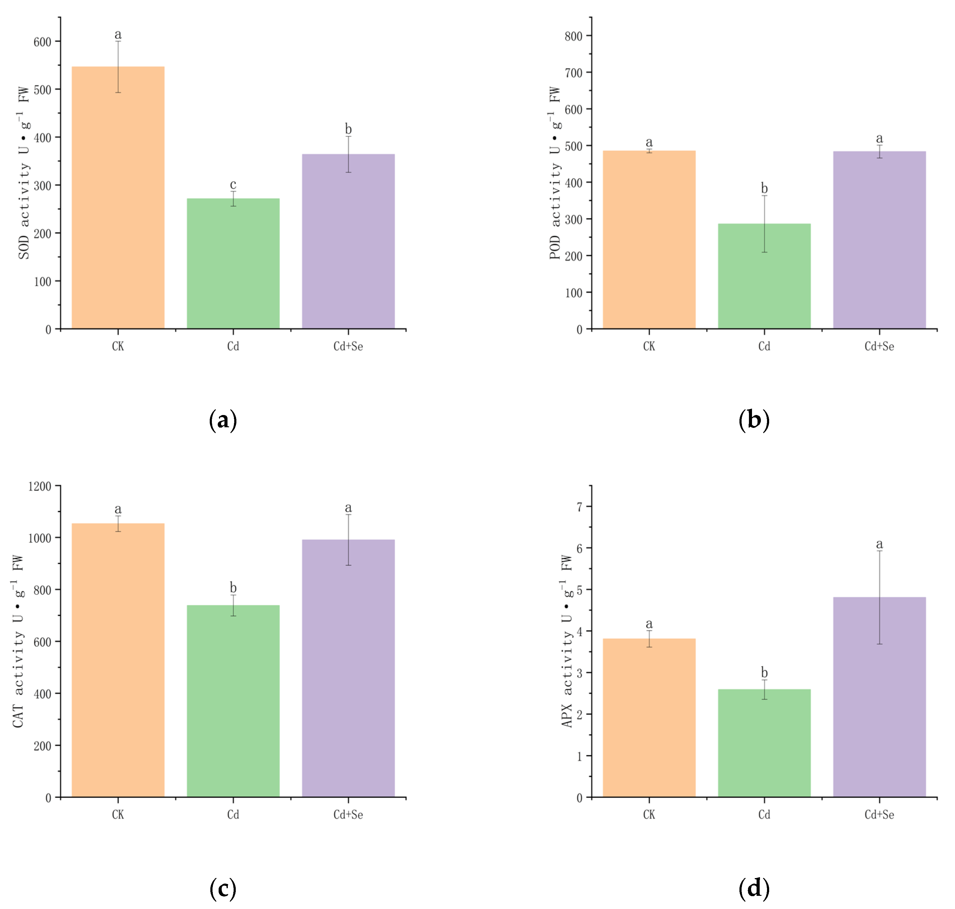 Agronomy 15 00246 g003