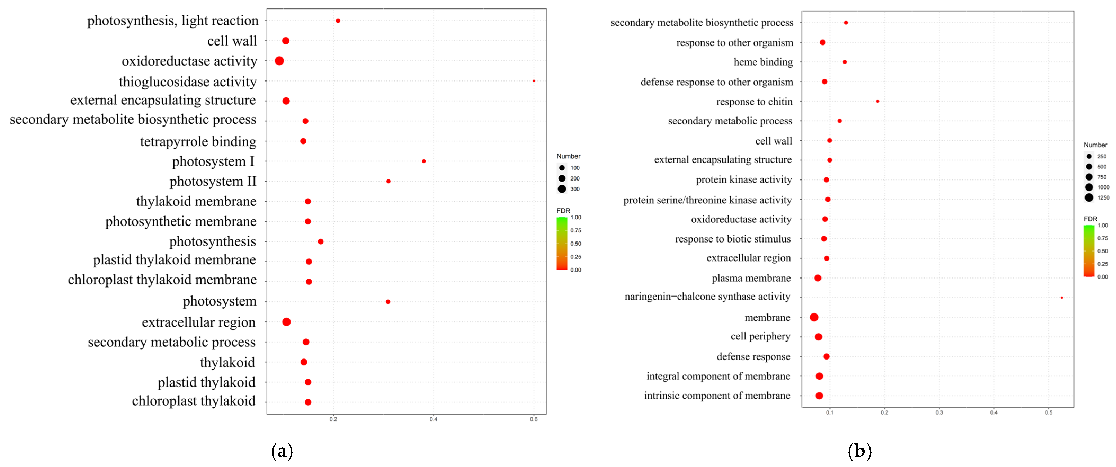 Agronomy 15 00251 g002