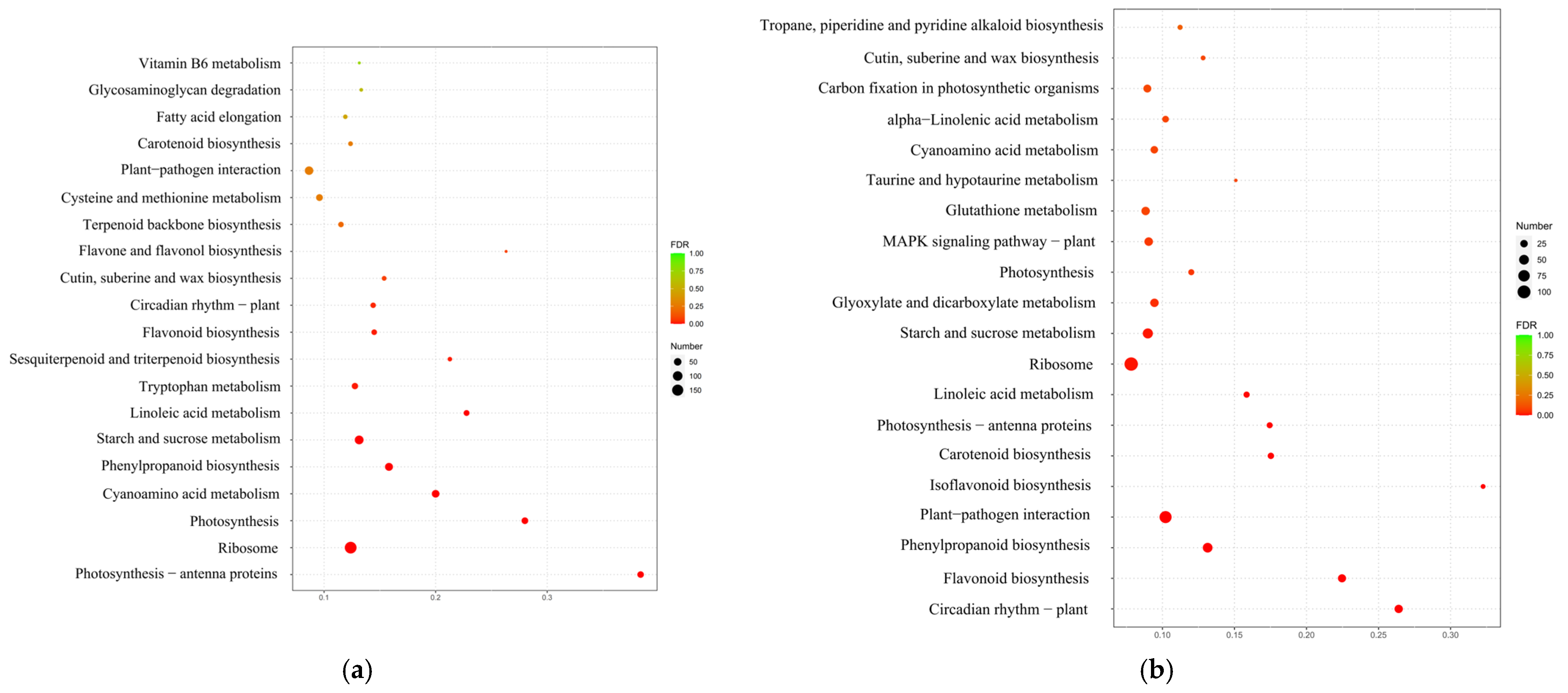 Agronomy 15 00251 g003