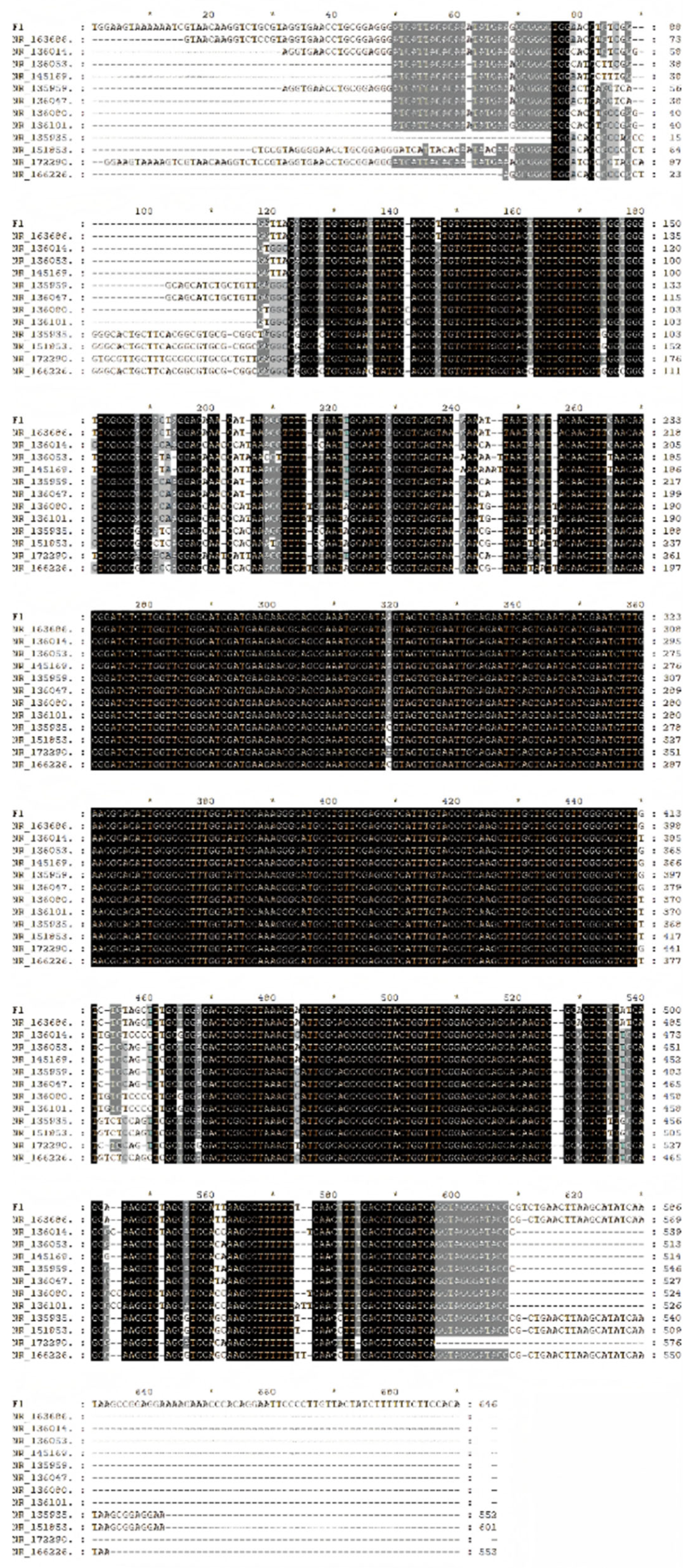 Agronomy 15 00251 g0a1