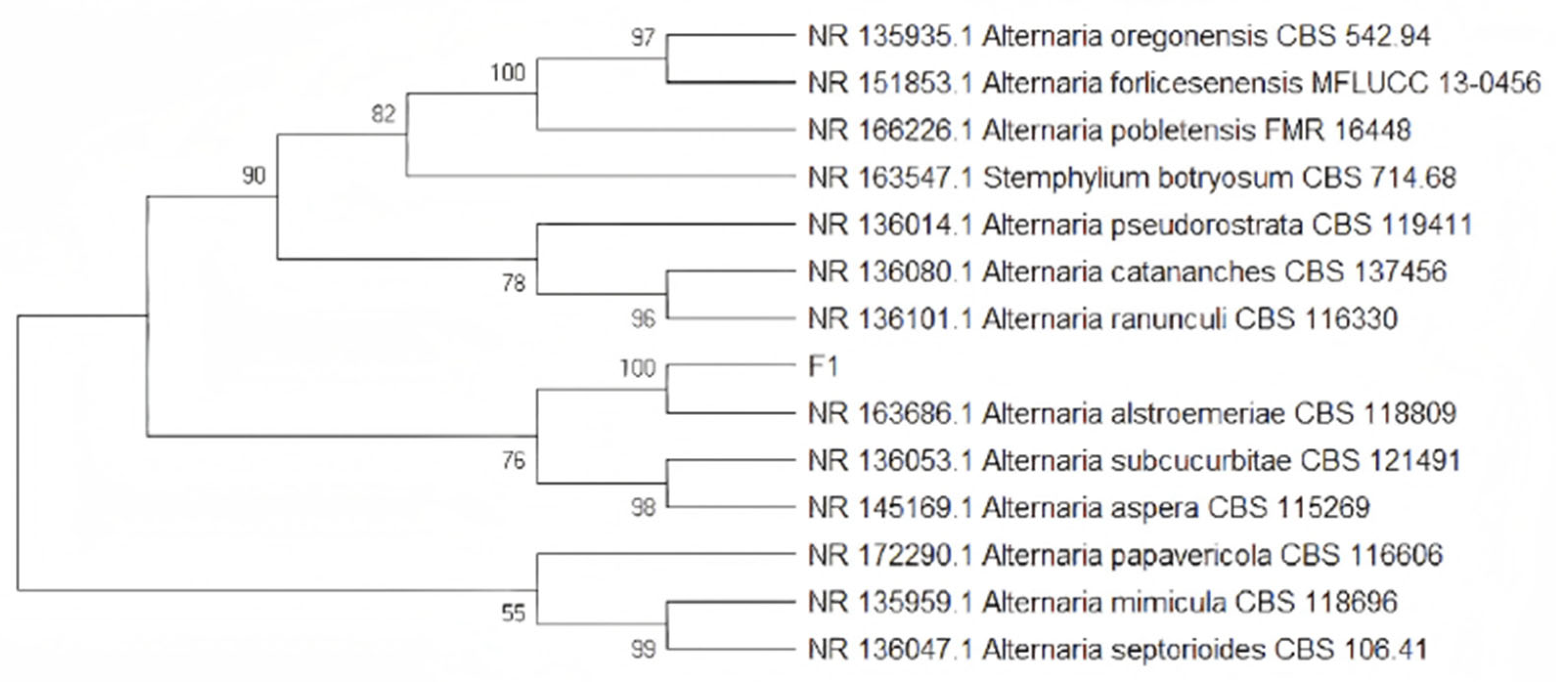 Agronomy 15 00251 g0a2