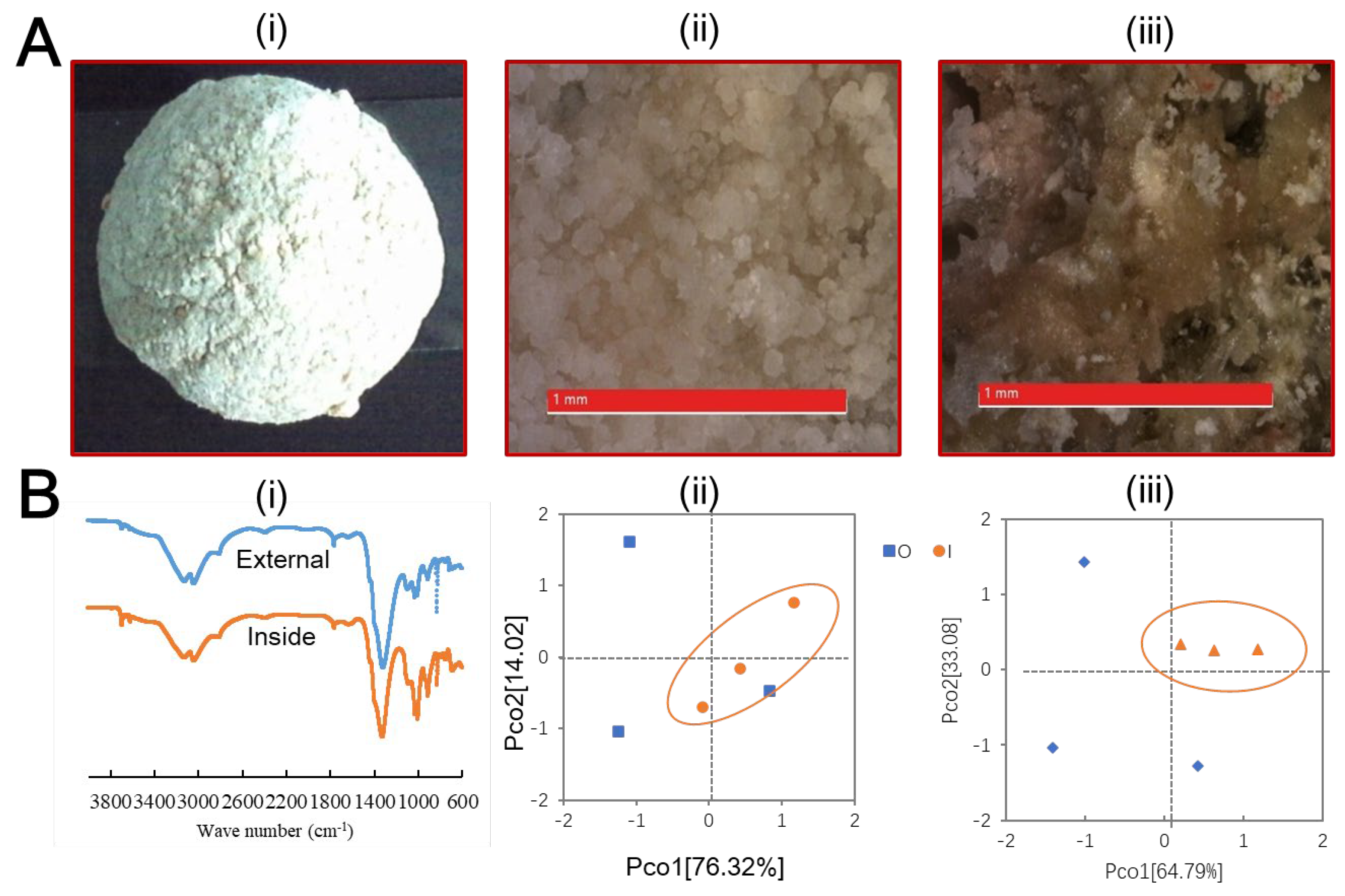 Agronomy 15 00261 g001