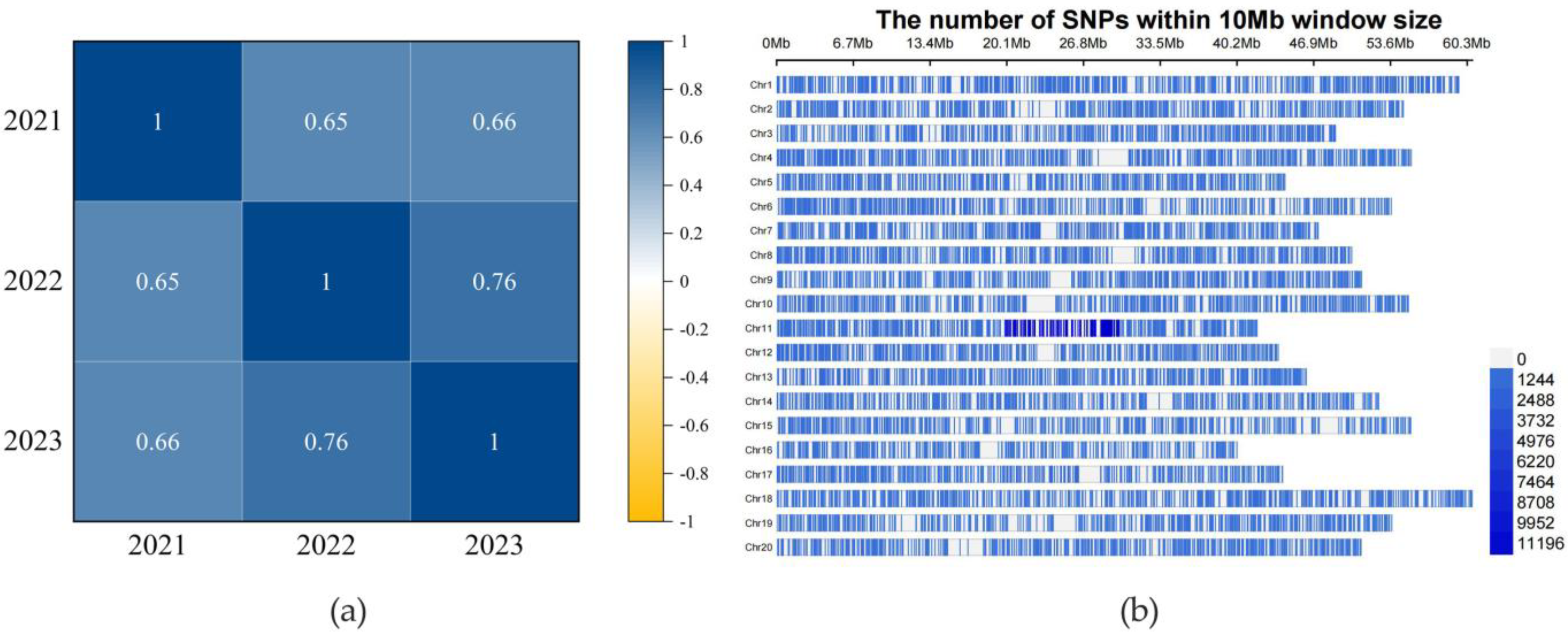 Agronomy 15 00264 g002
