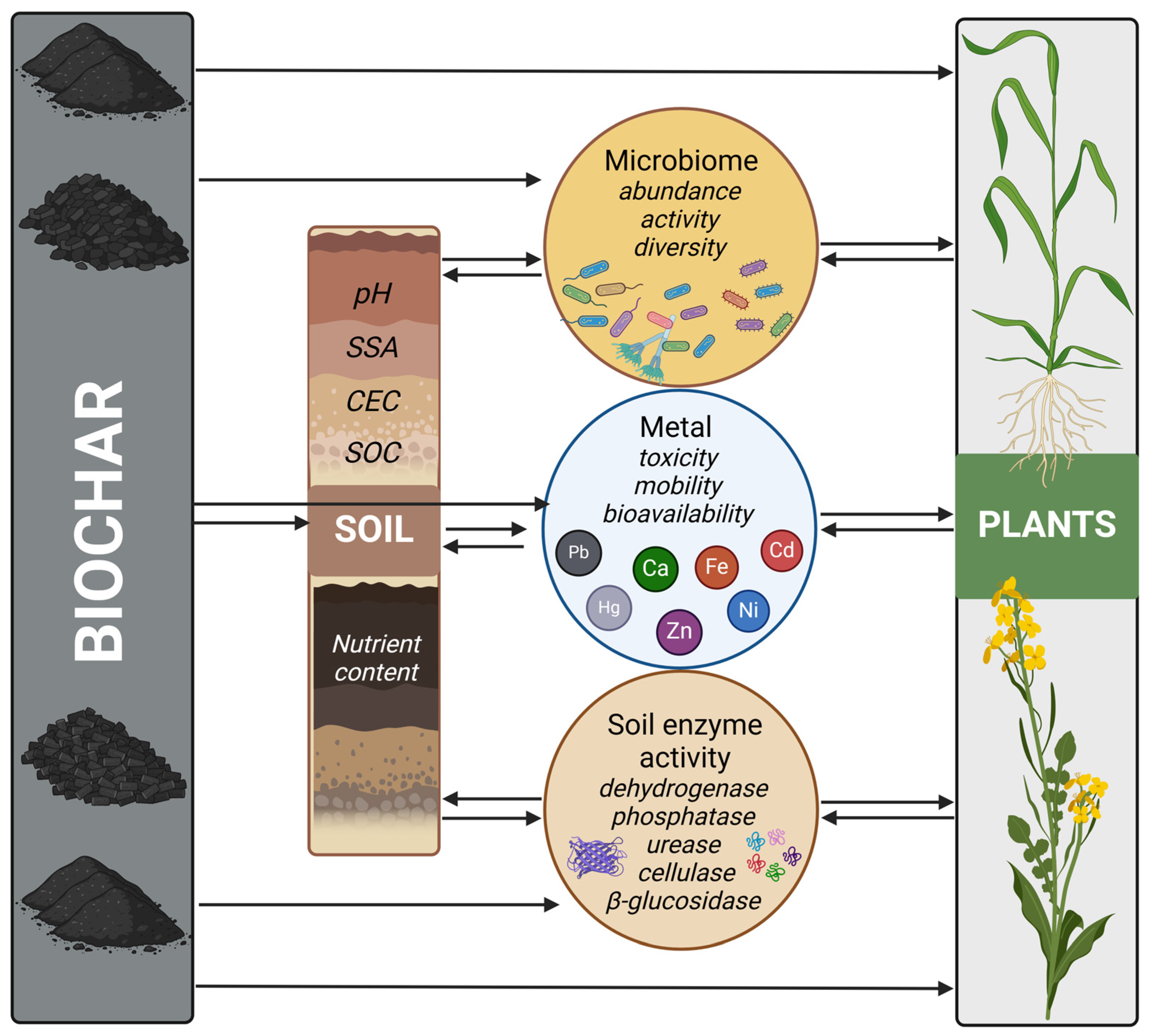 Agronomy 15 00273 g002 Agronomy 15 00273 g002