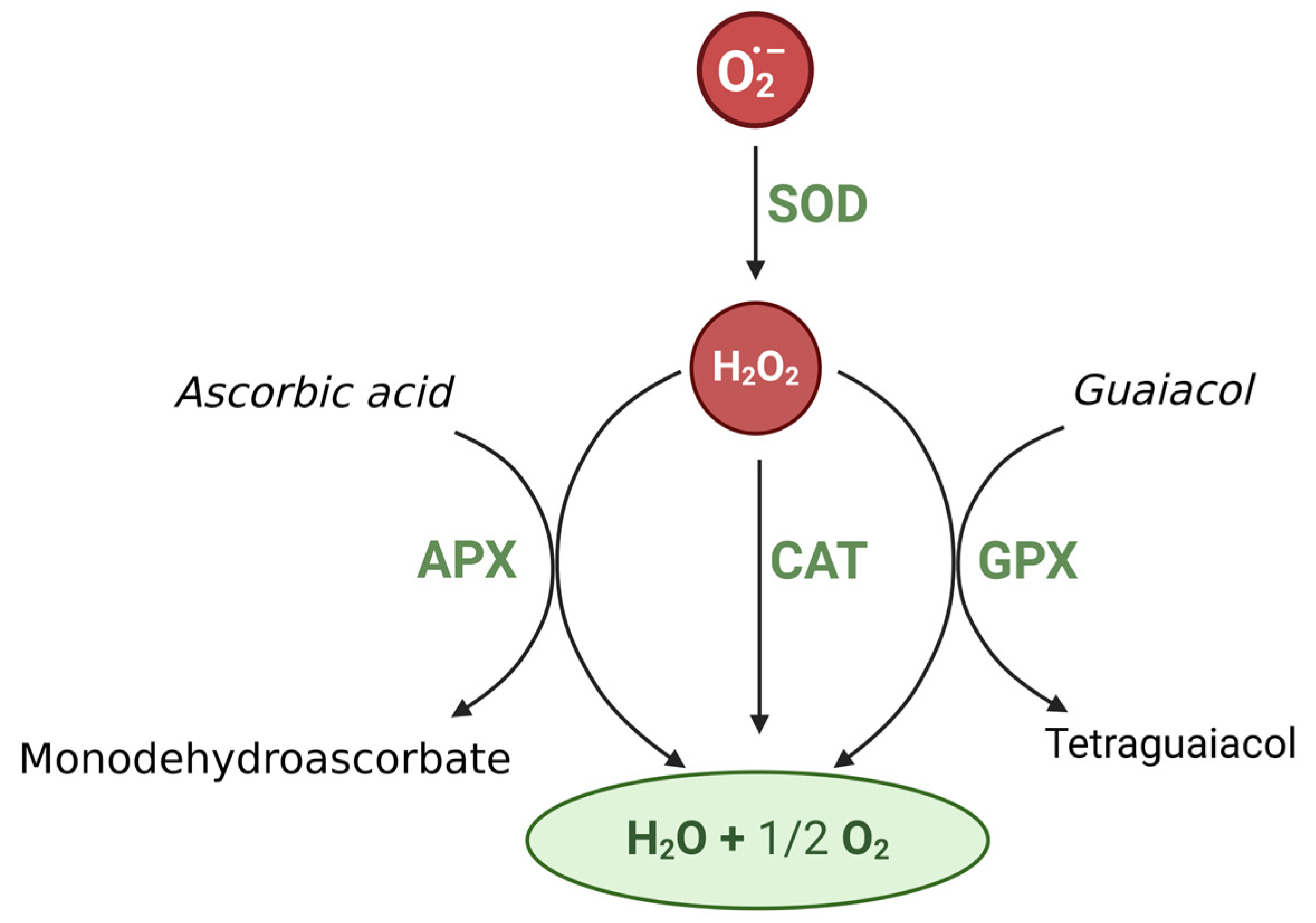Agronomy 15 00273 g003 Agronomy 15 00273 g003