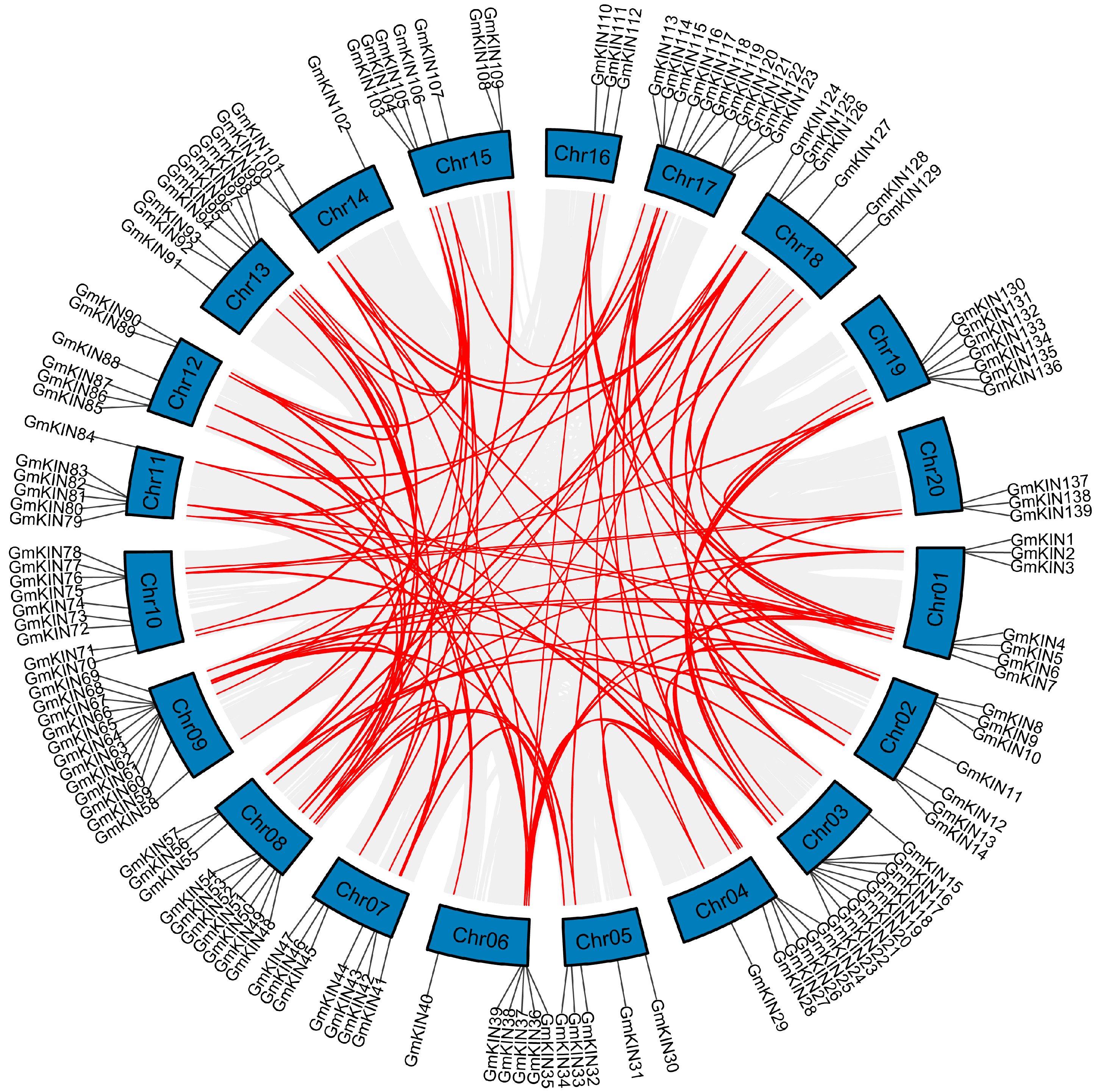 Agronomy 15 00275 g005