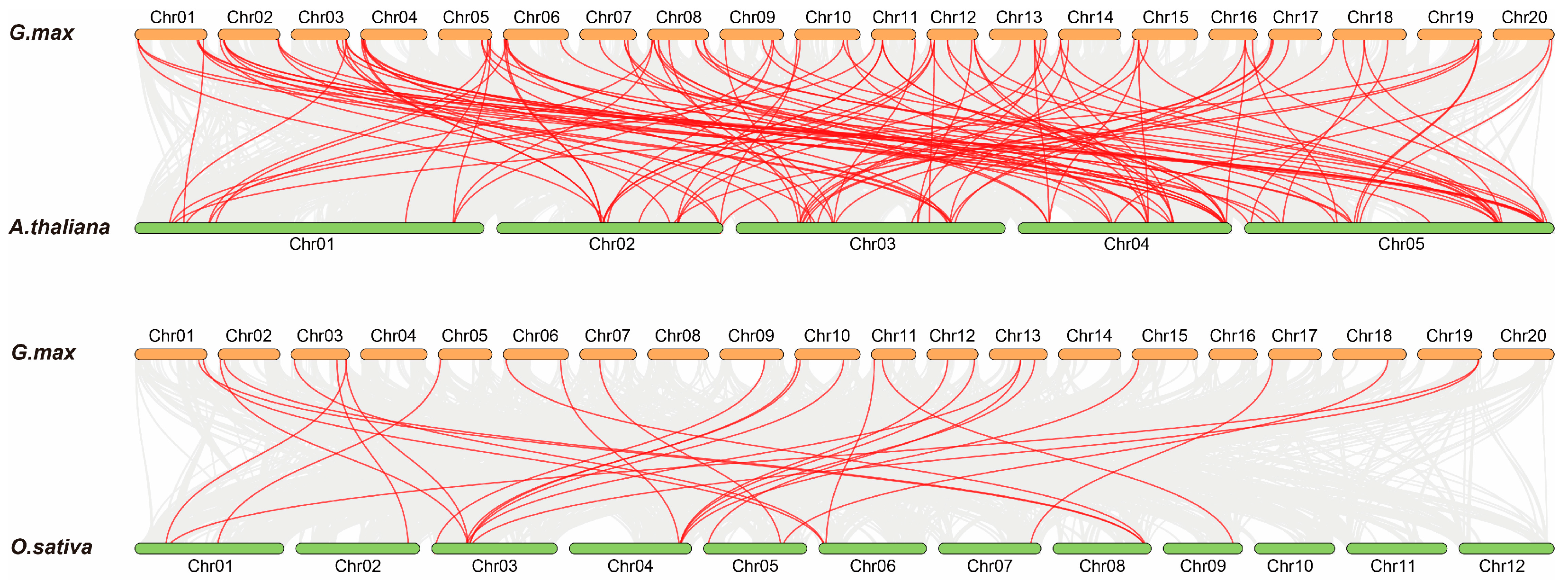 Agronomy 15 00275 g006