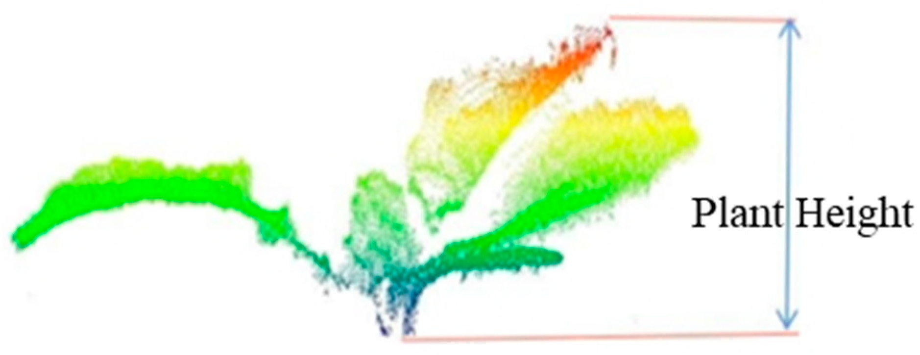 Agronomy 15 00276 g002