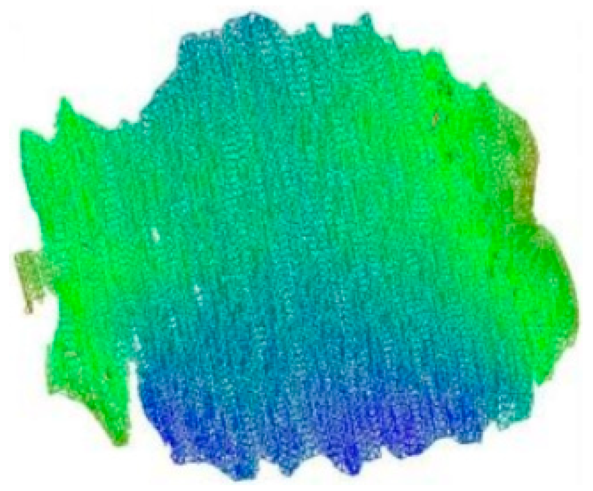 Agronomy 15 00276 g005