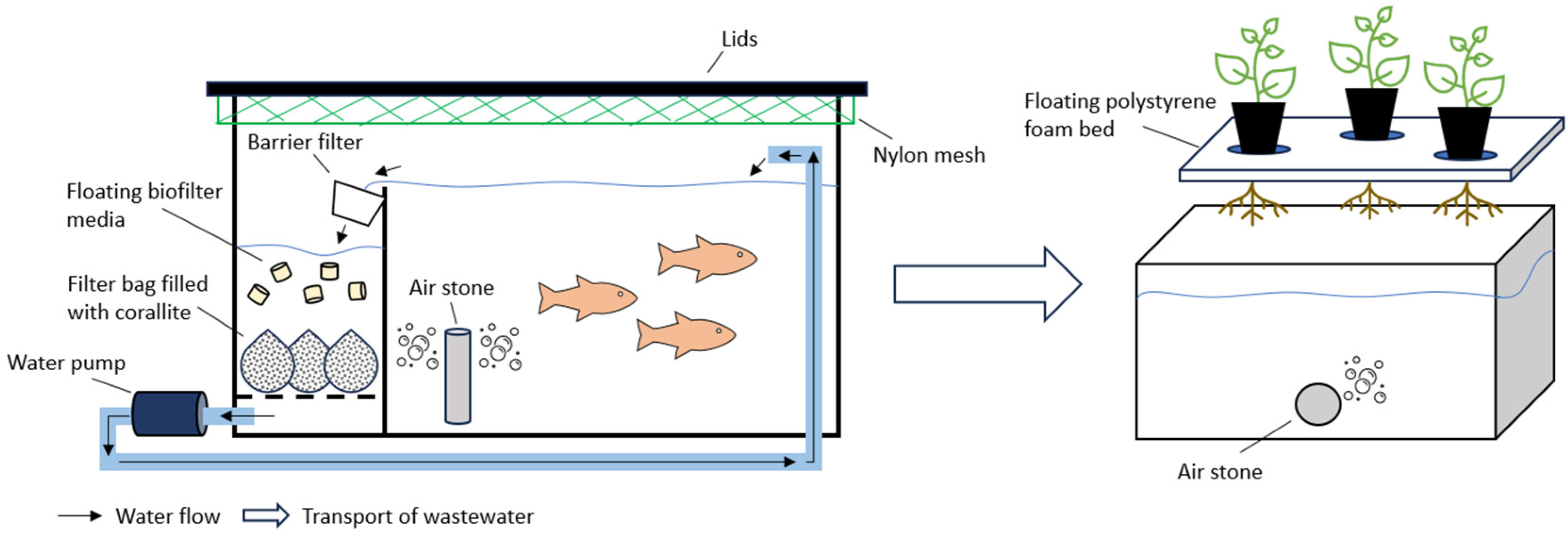 Agronomy 15 00277 g001