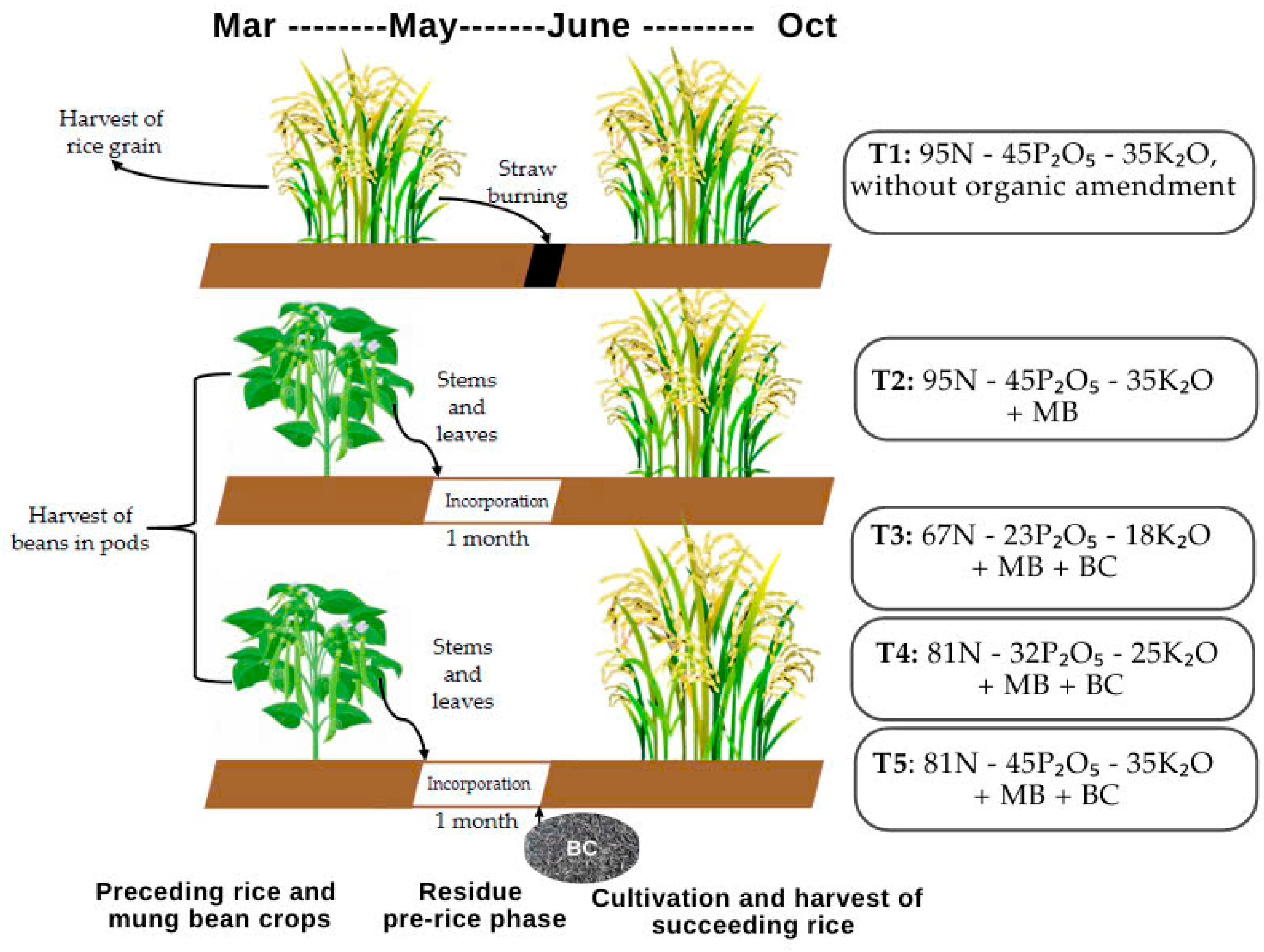 Agronomy 15 00278 g001