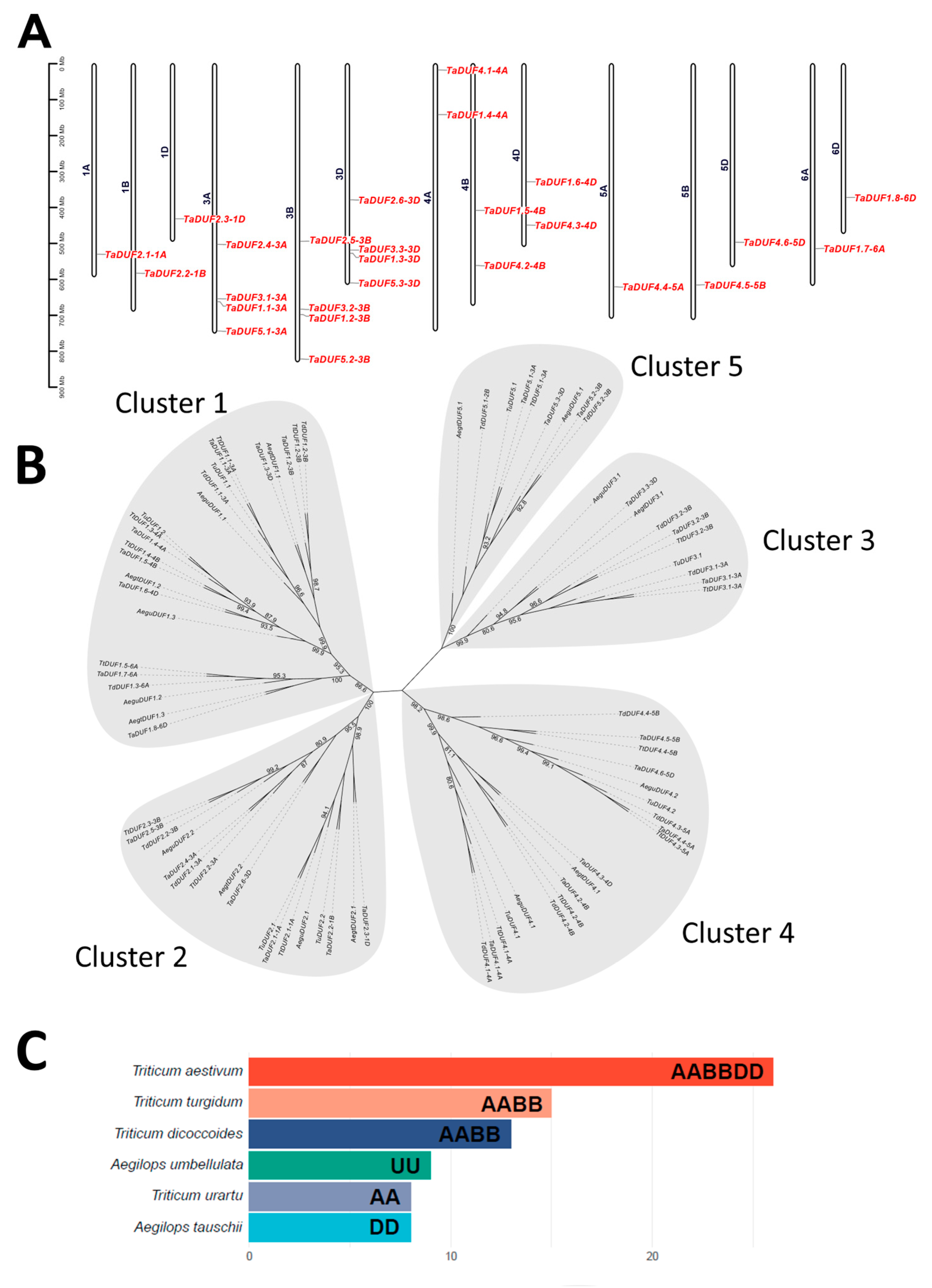 Agronomy 15 00281 g001