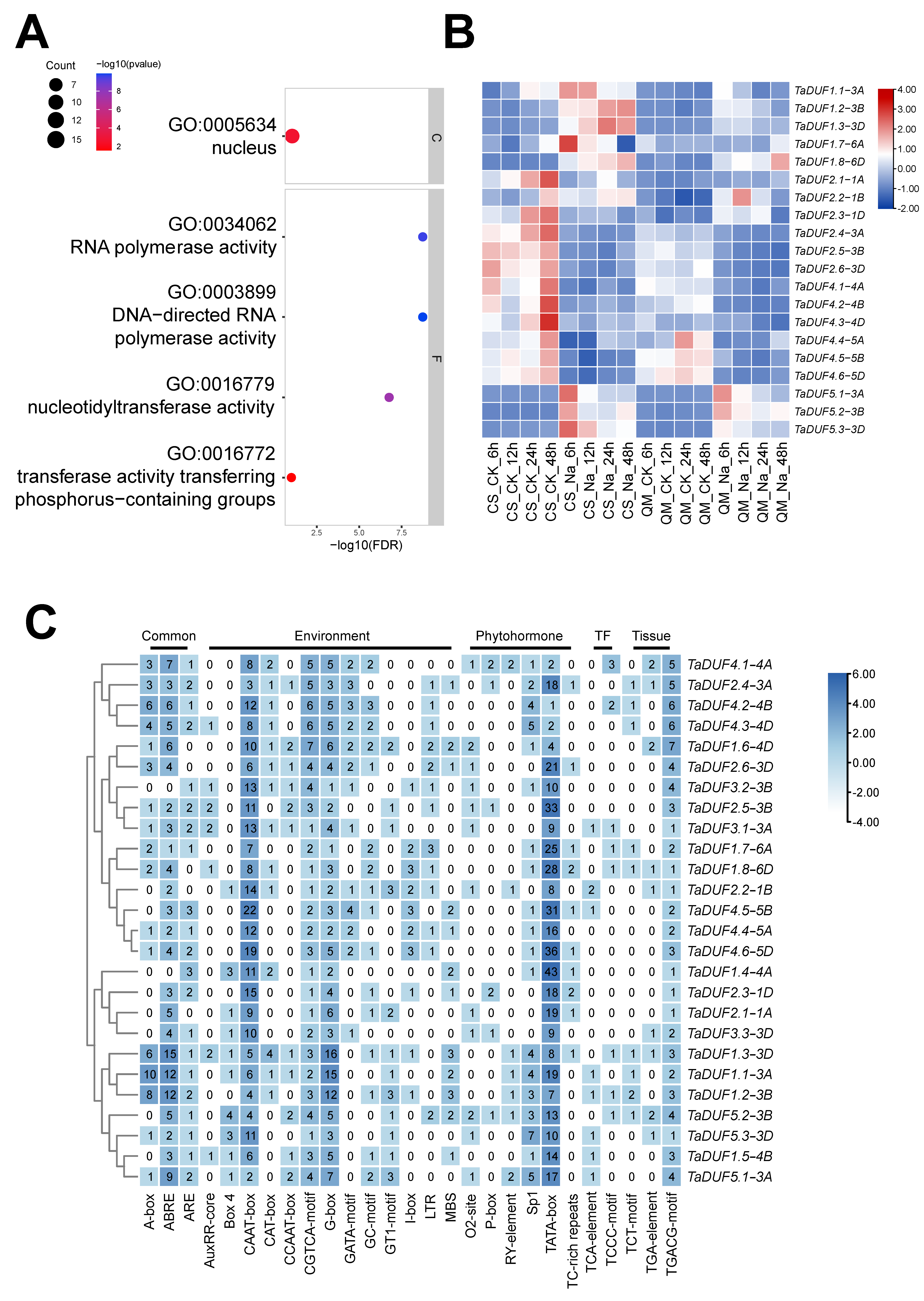 Agronomy 15 00281 g004