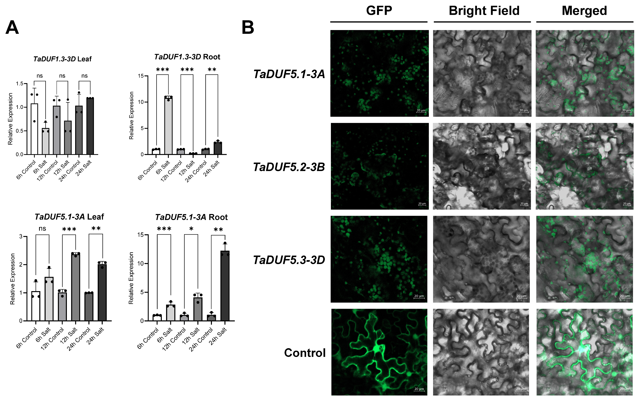Agronomy 15 00281 g006