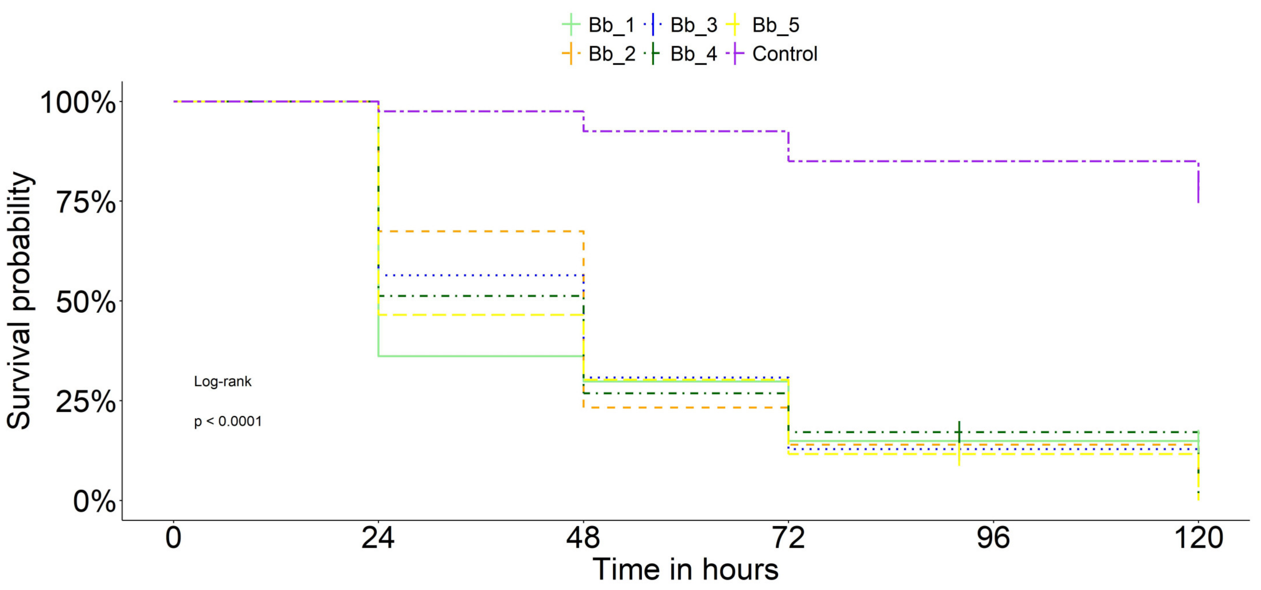 Agronomy 15 00283 g002