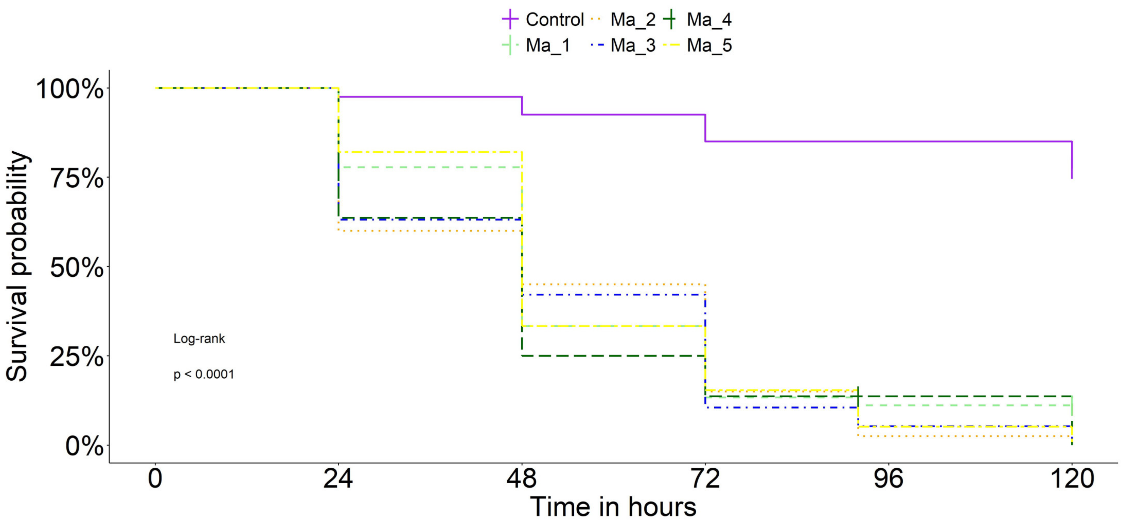 Agronomy 15 00283 g003