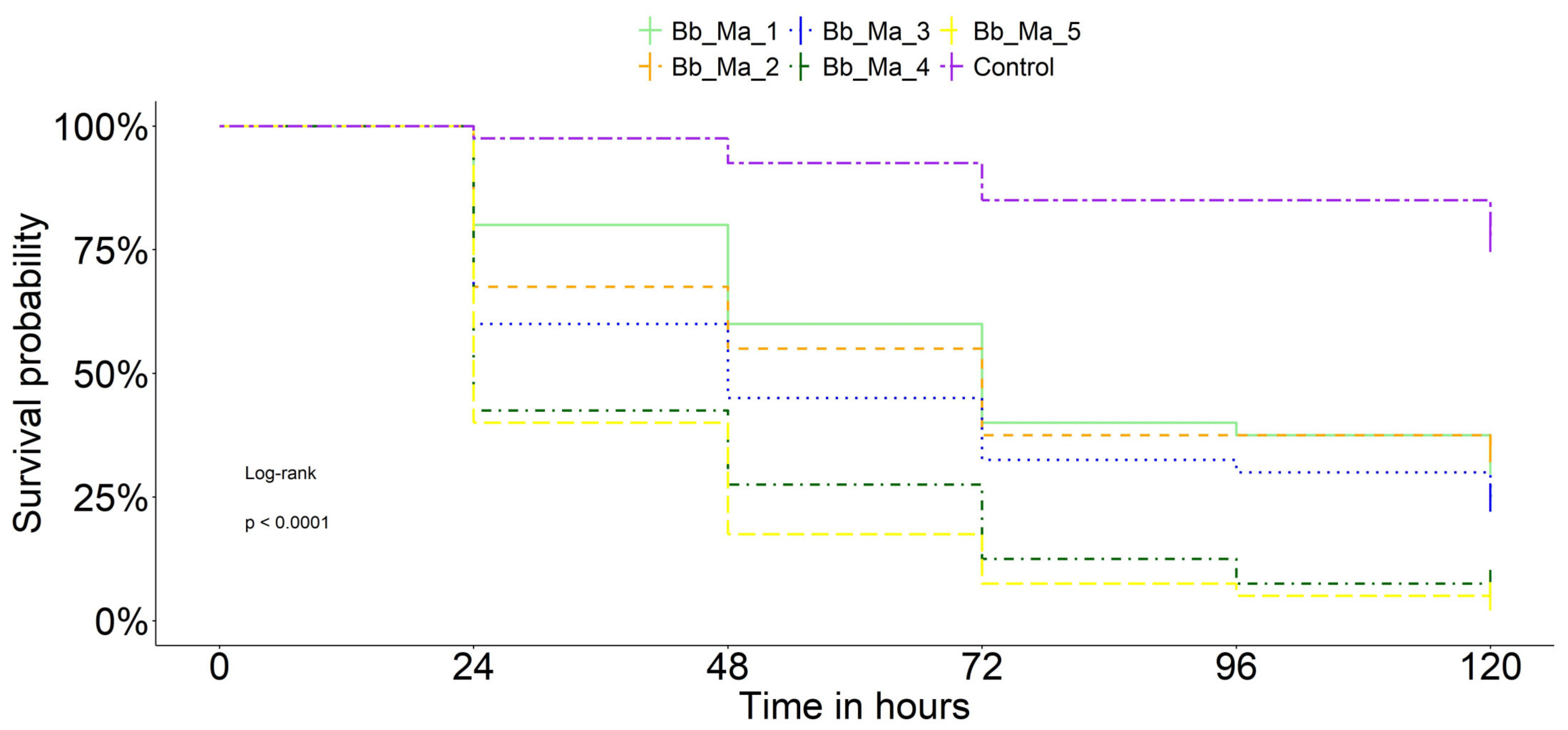 Agronomy 15 00283 g004