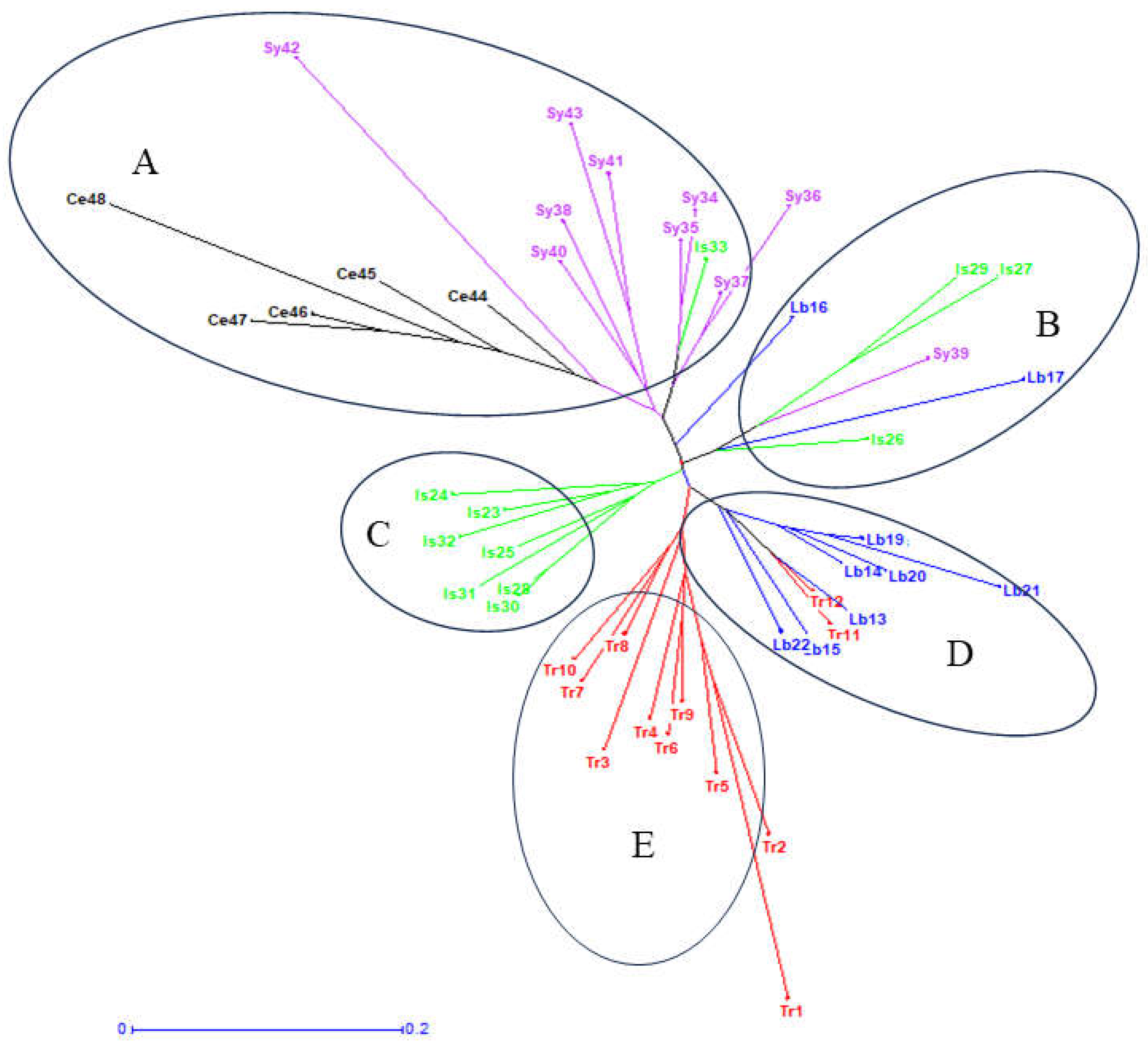 Agronomy 15 00284 g003