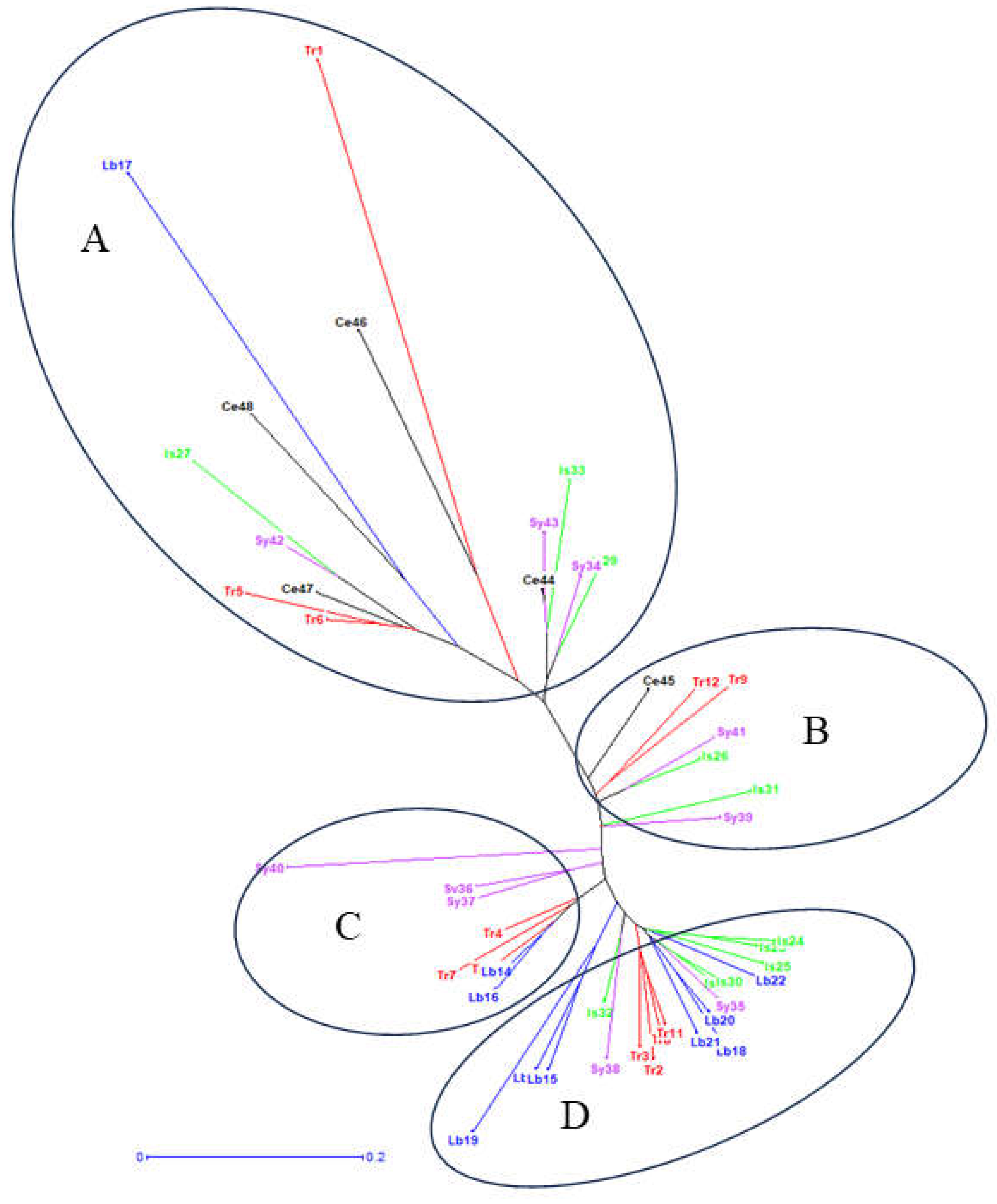 Agronomy 15 00284 g004