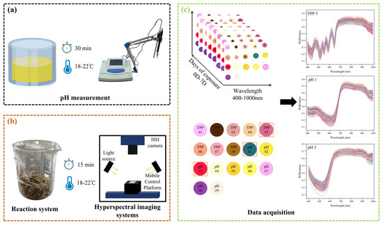Non-Destructive Detection of pH Value During Secondary