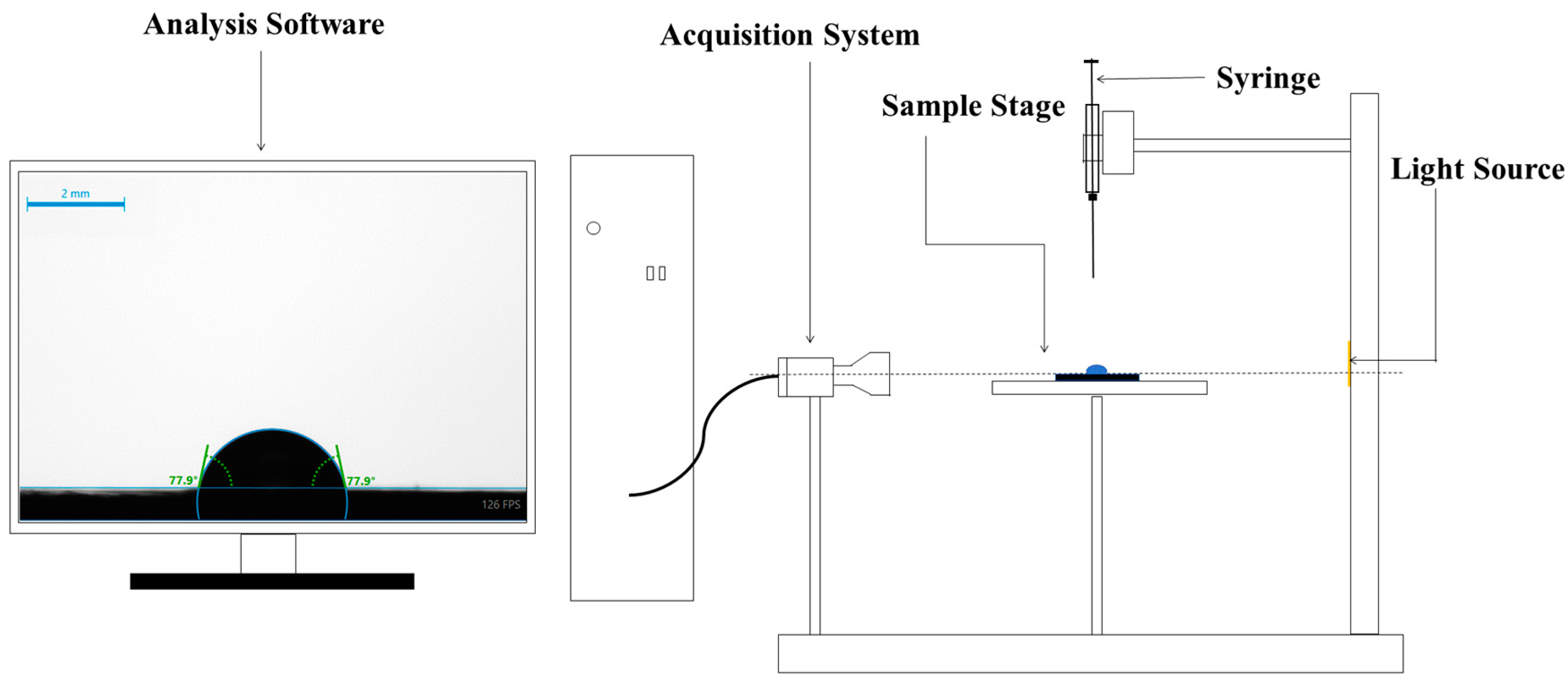 Agronomy 15 00293 g001