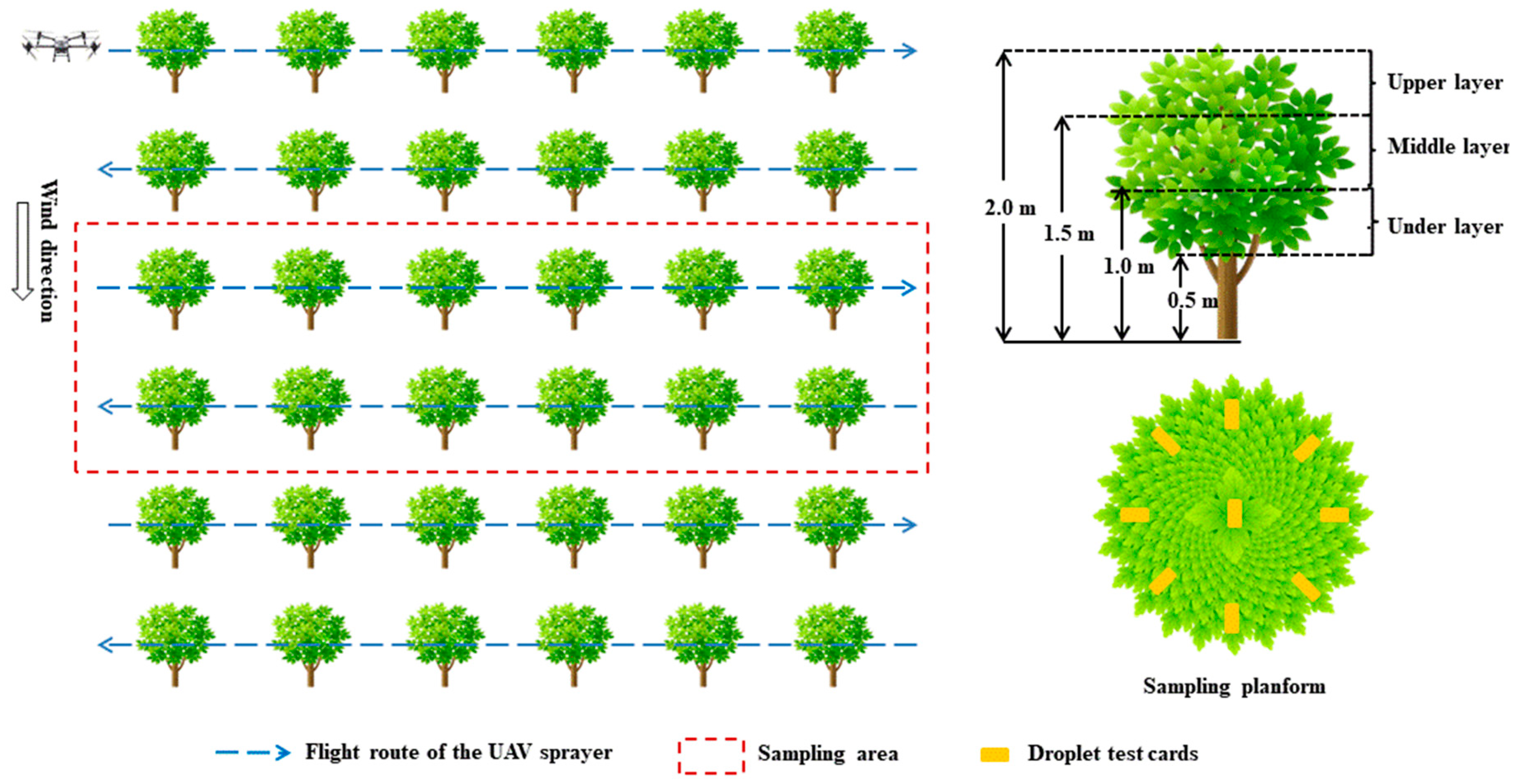 Agronomy 15 00293 g003