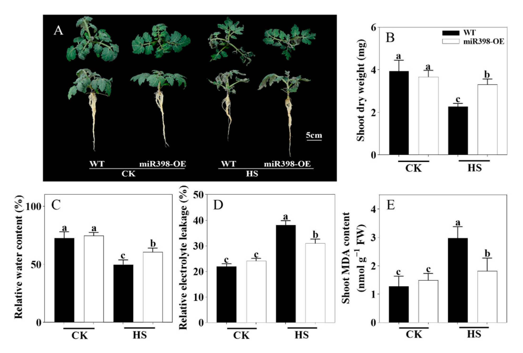 Agronomy 15 00294 g002