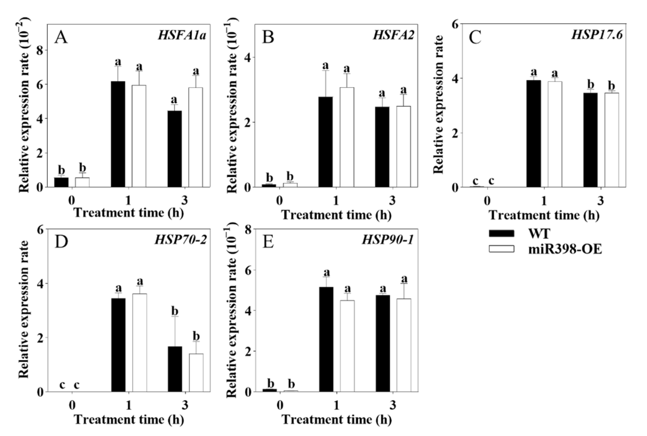 Agronomy 15 00294 g007