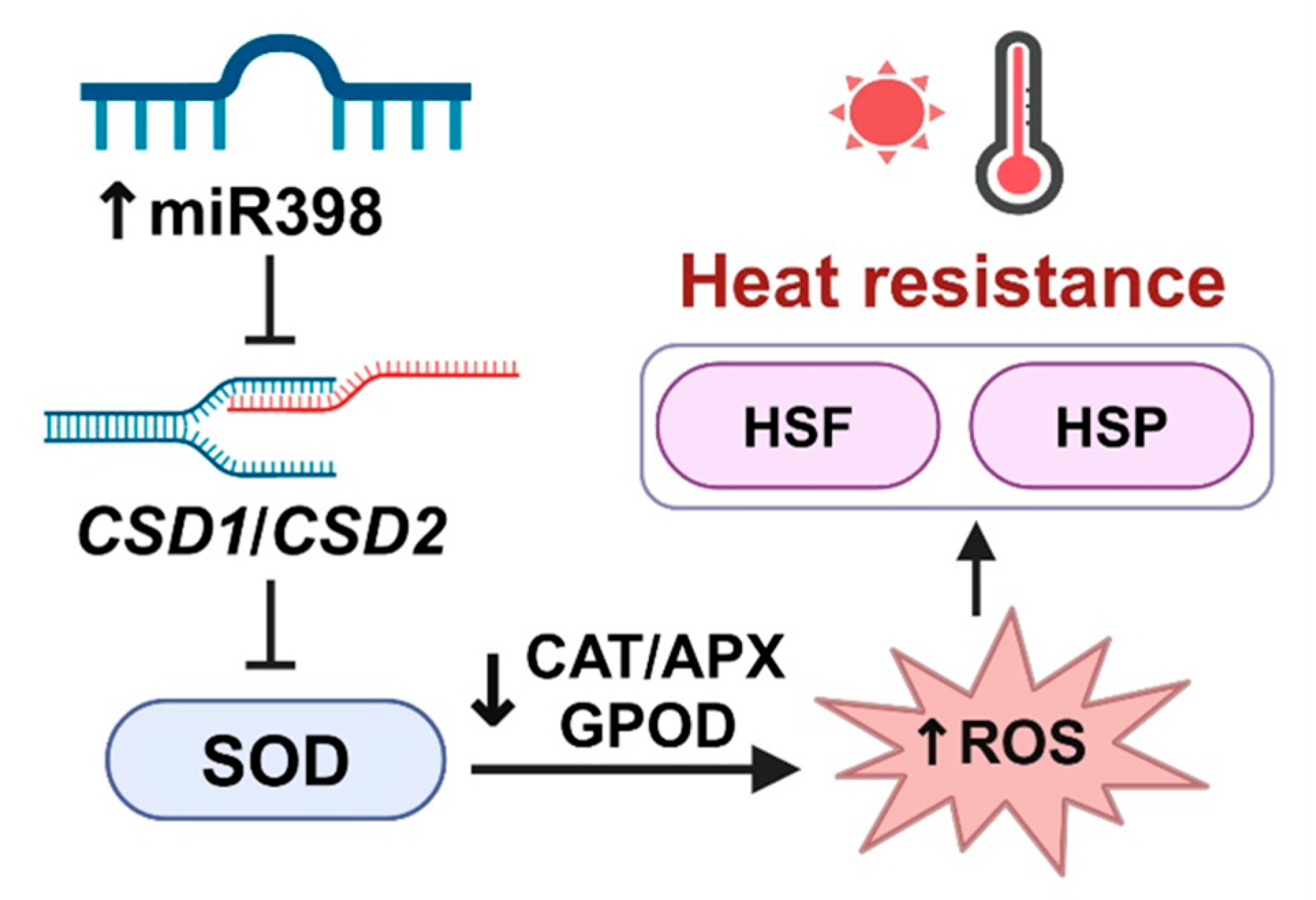 Agronomy 15 00294 g008