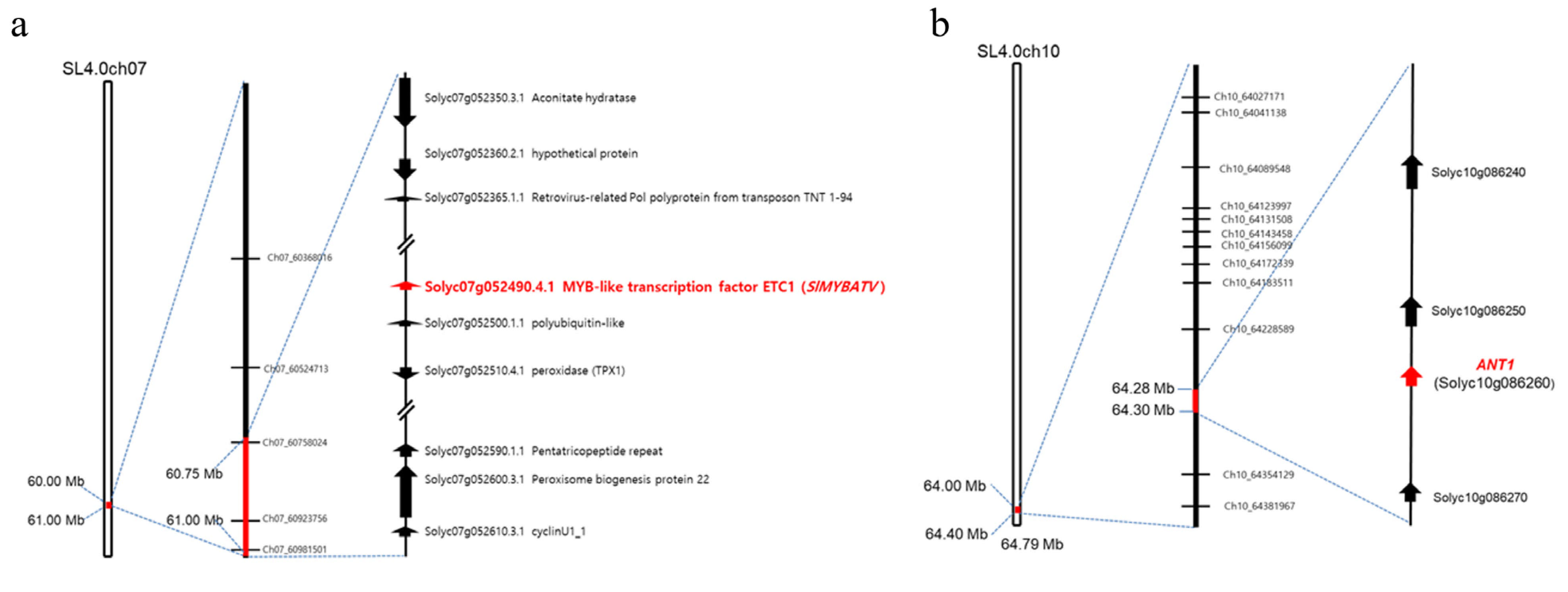 Agronomy 15 00295 g003
