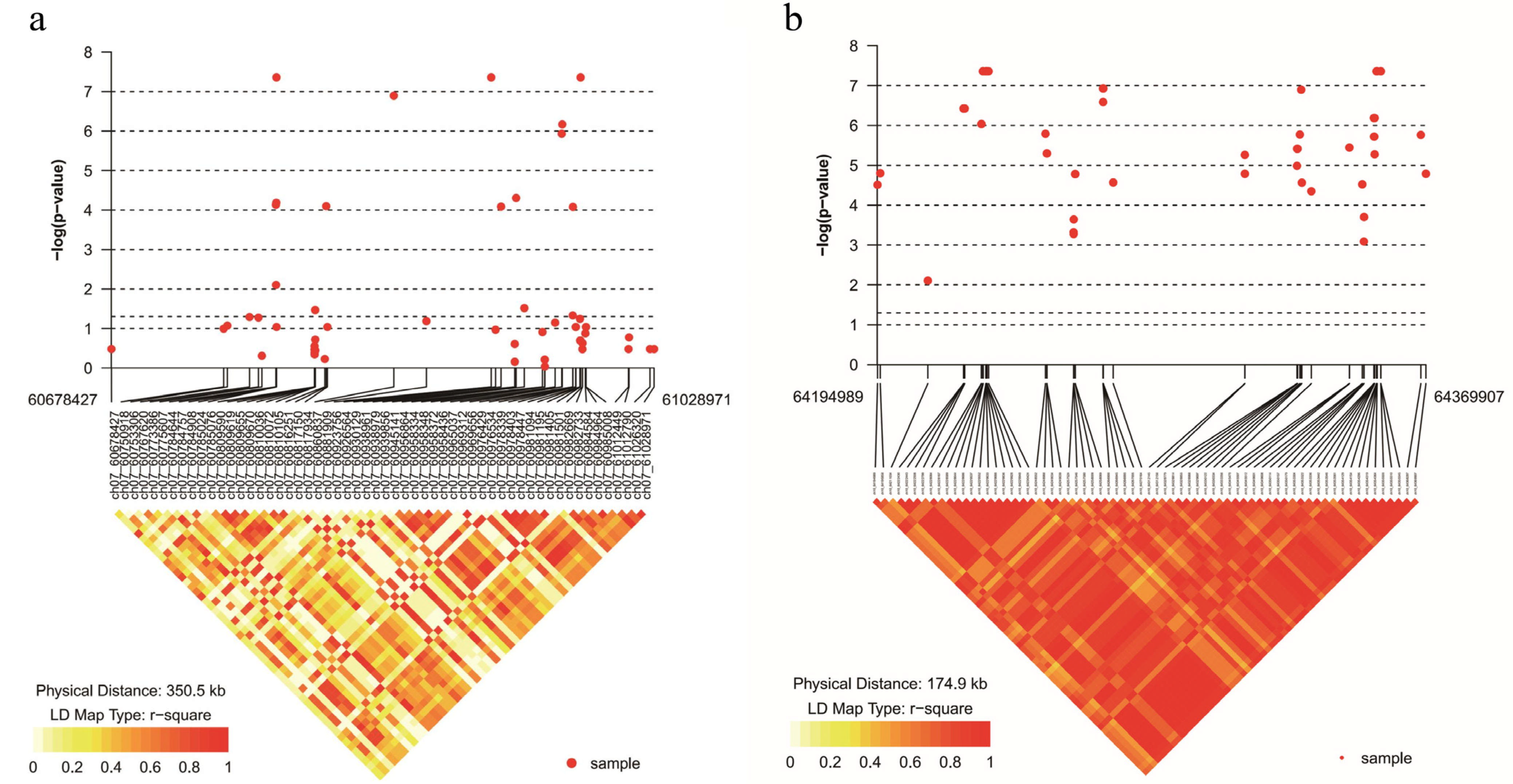 Agronomy 15 00295 g004