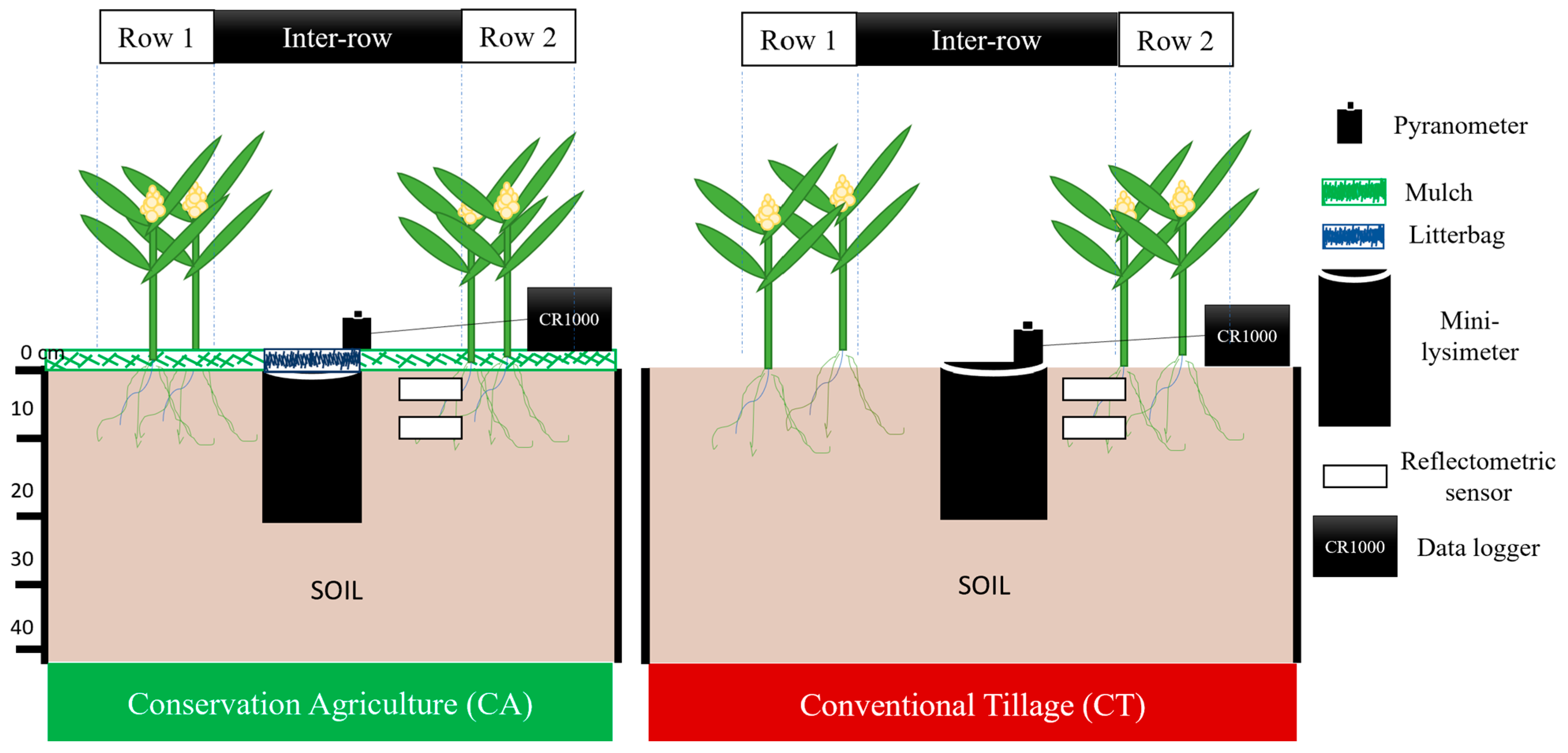 Agronomy 15 00299 g003 Agronomy 15 00299 g003