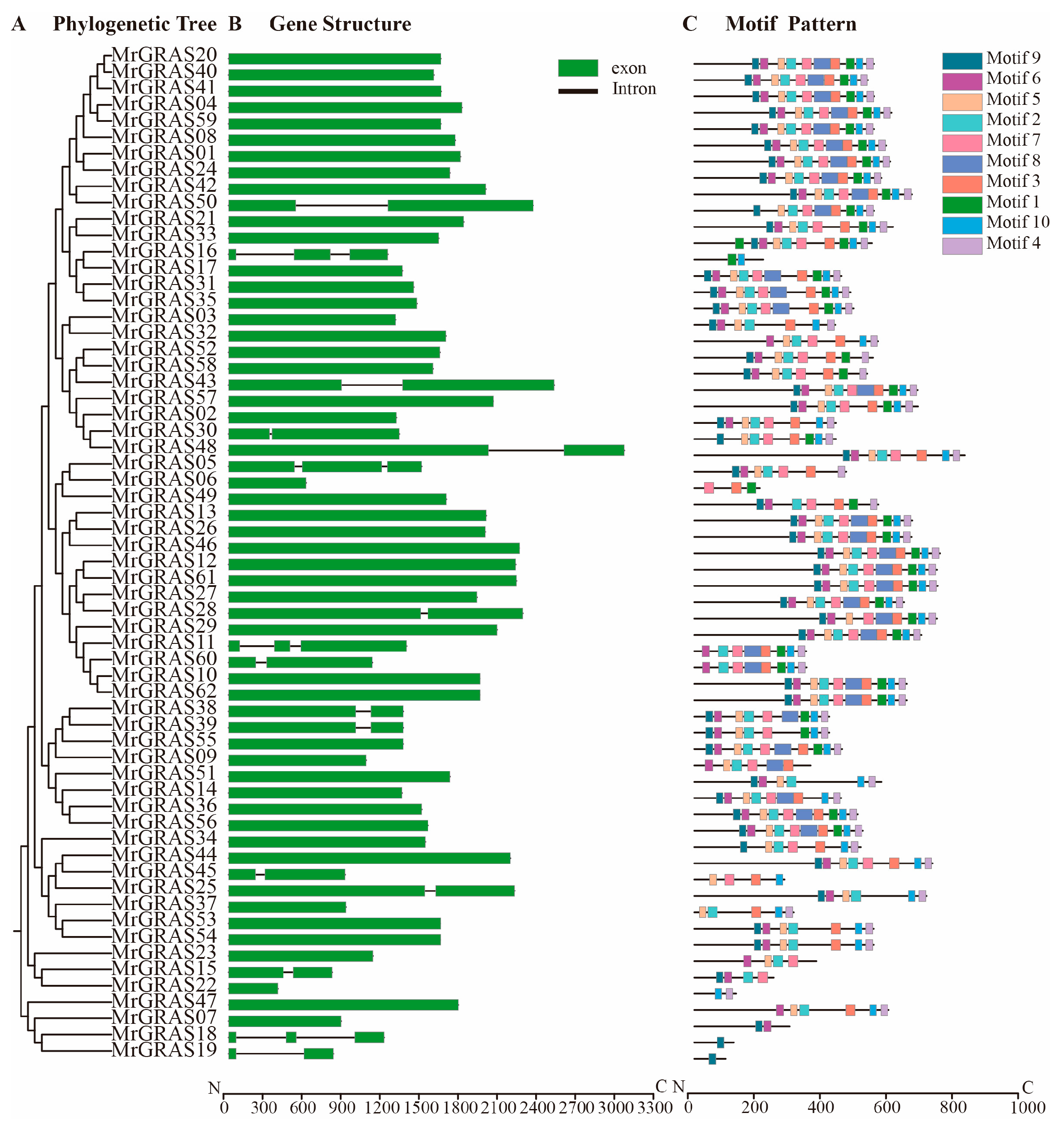 Agronomy 15 00306 g002