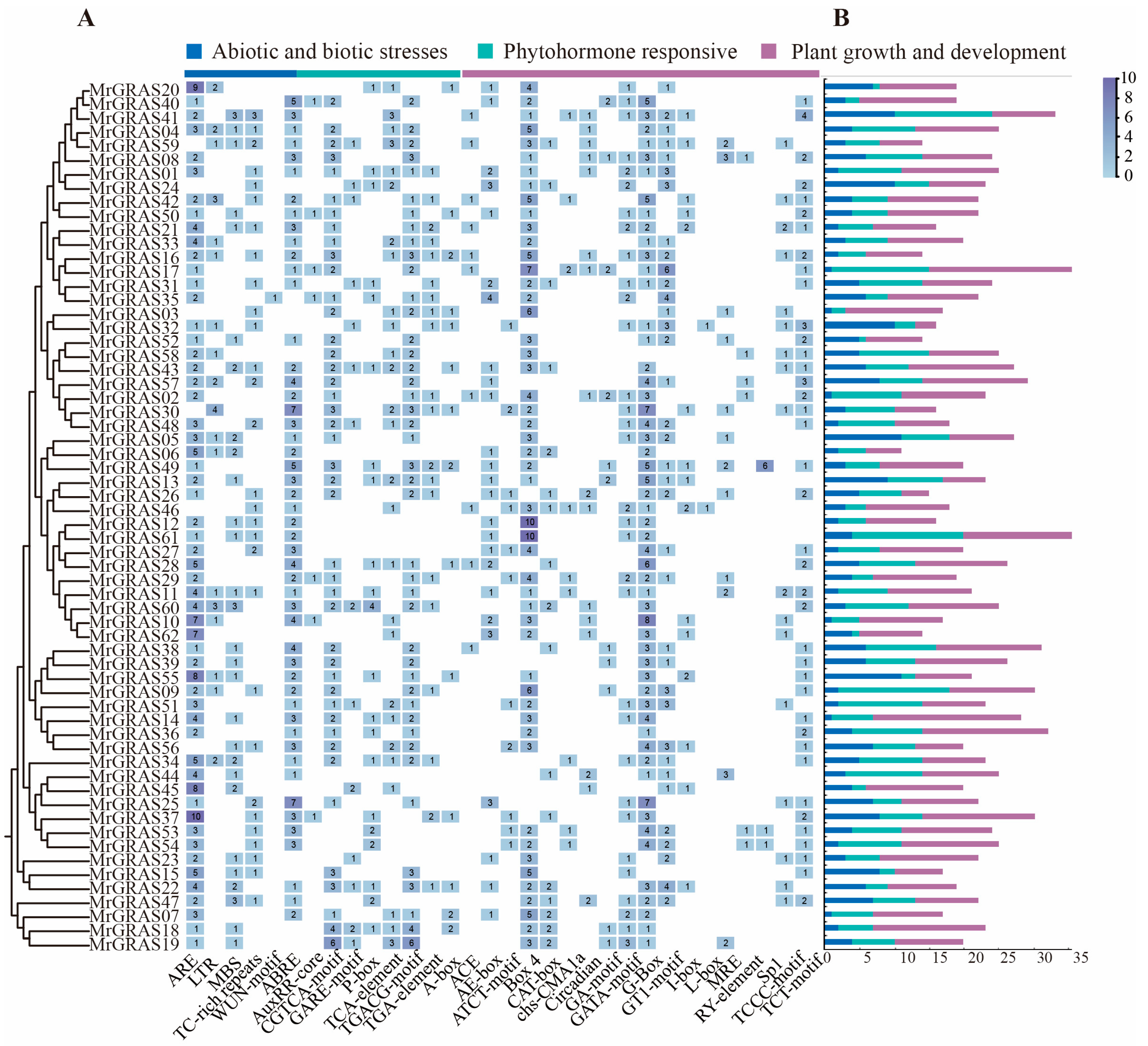 Agronomy 15 00306 g004
