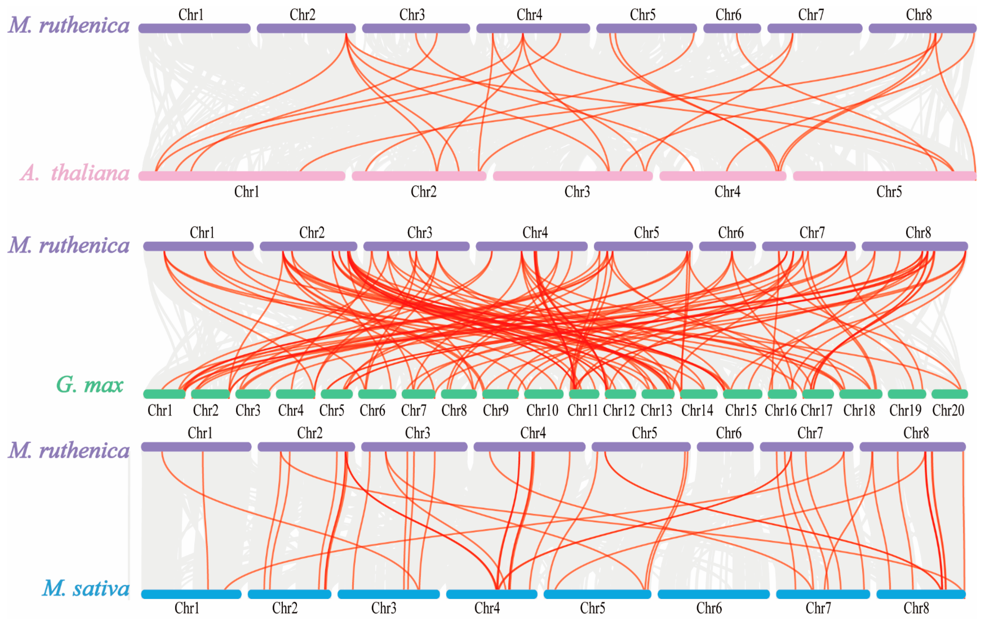 Agronomy 15 00306 g007