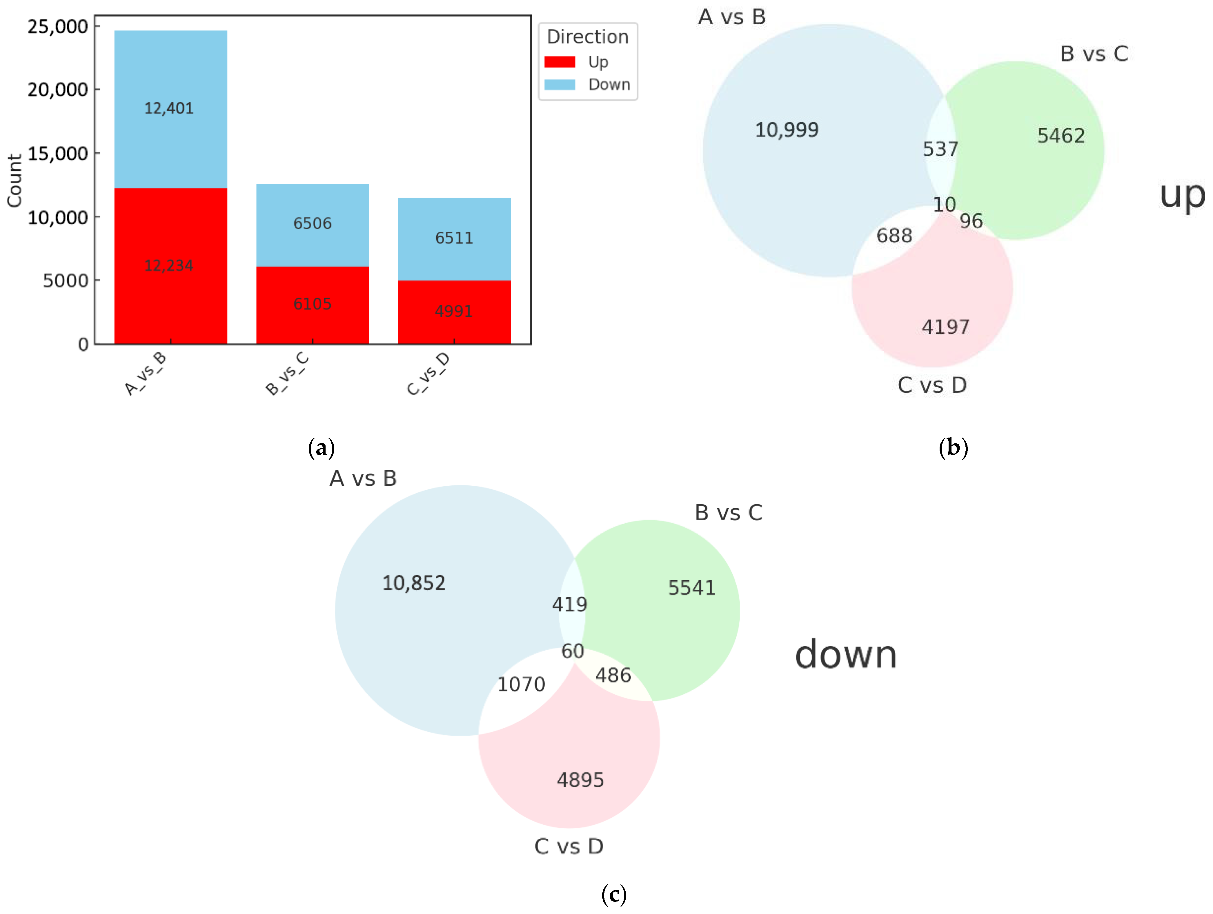 Agronomy 15 00308 g004