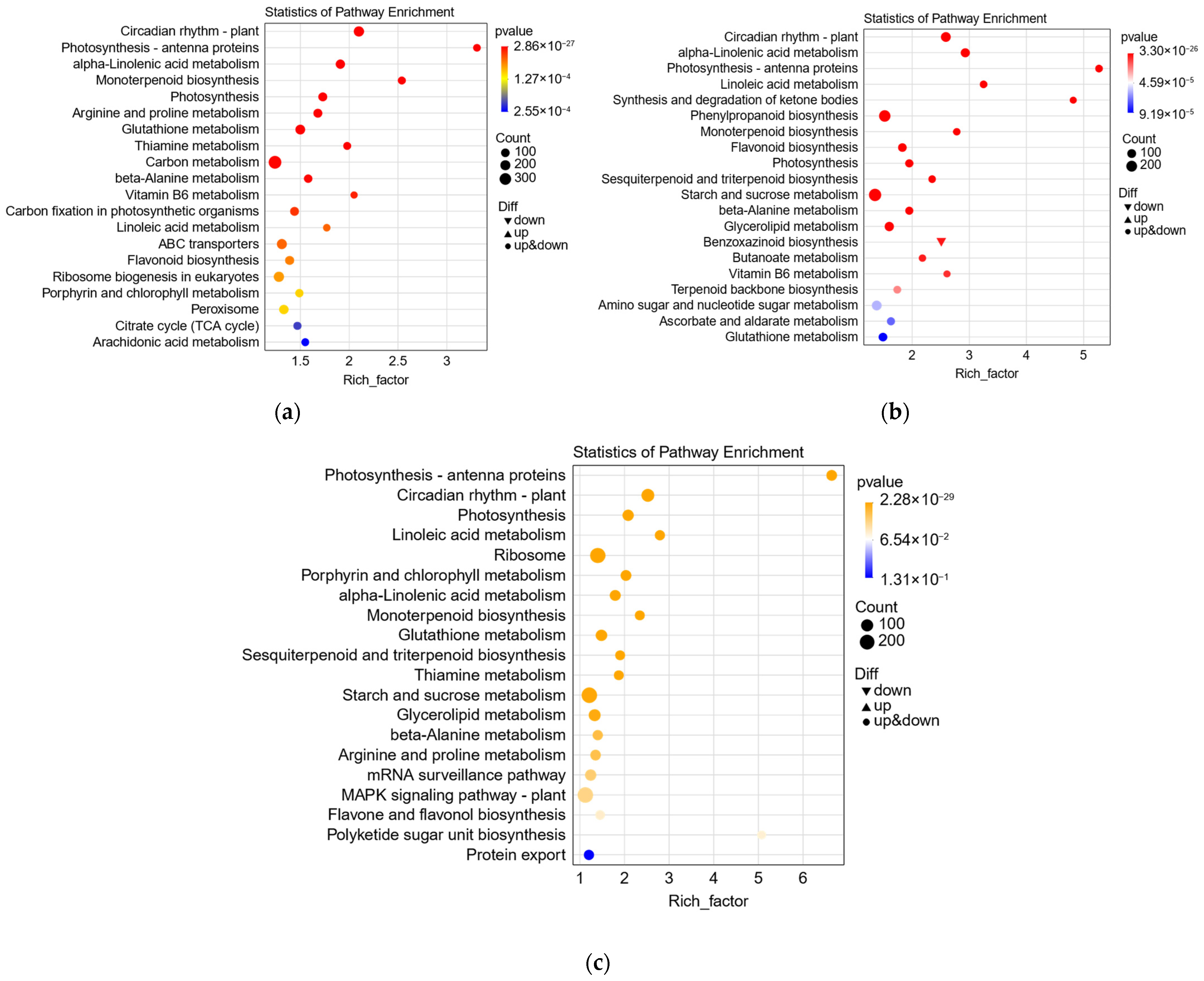 Agronomy 15 00308 g005