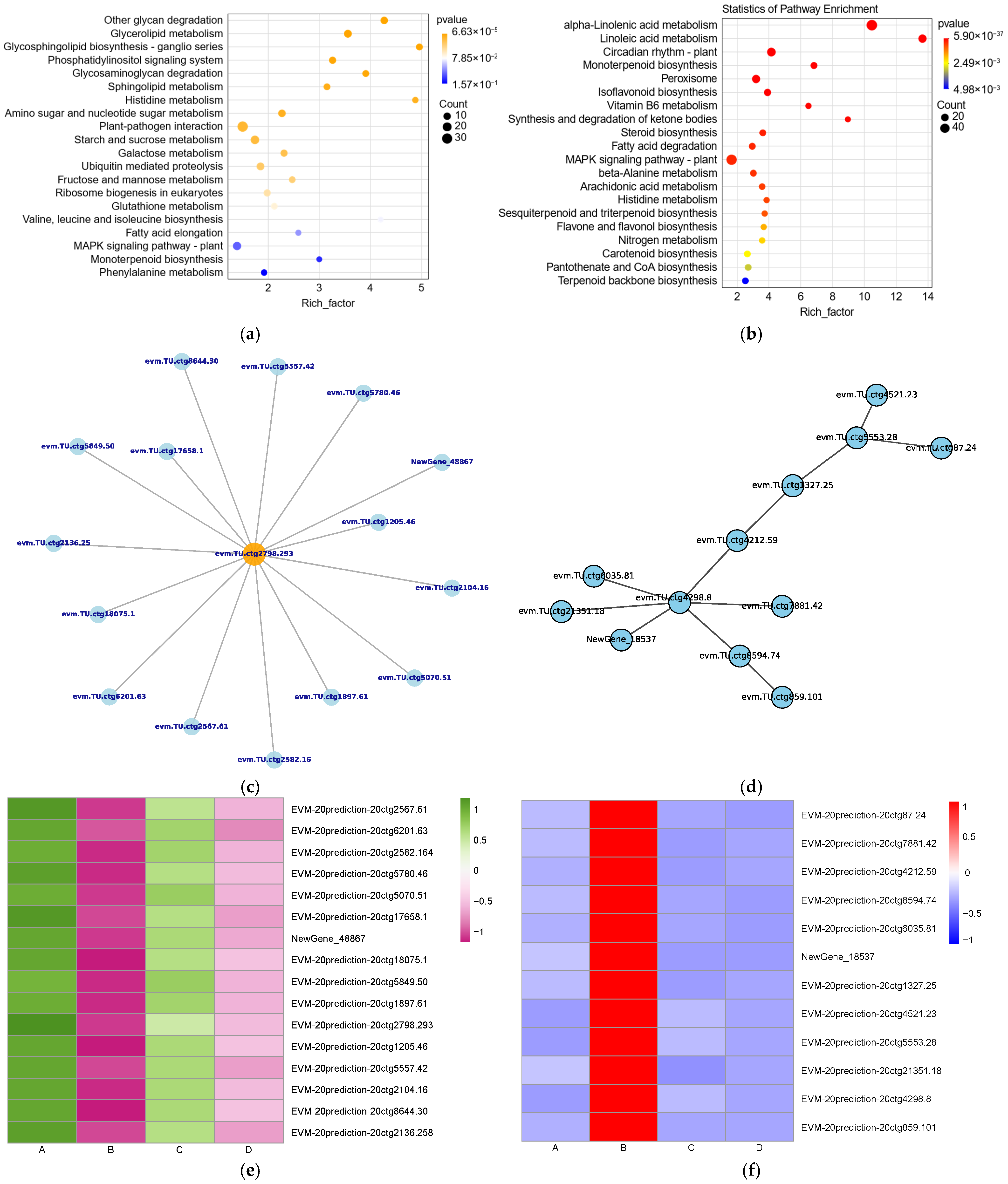 Agronomy 15 00308 g010