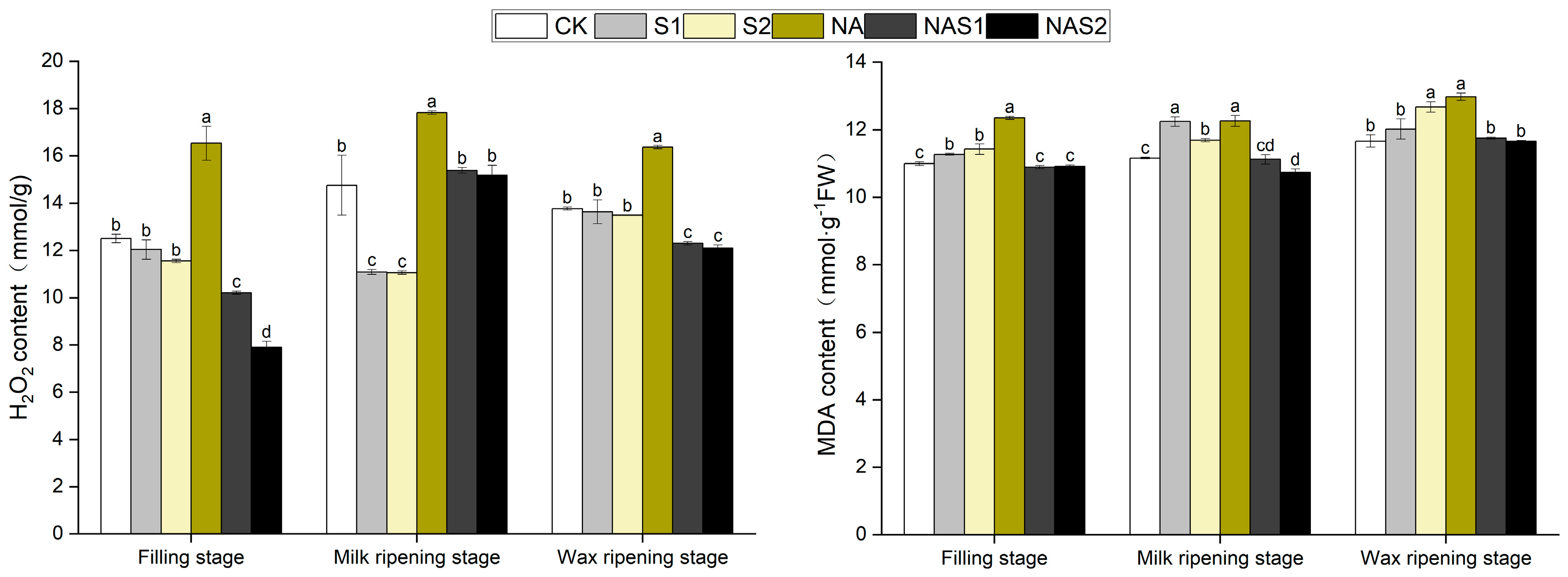 Agronomy 15 00309 g004