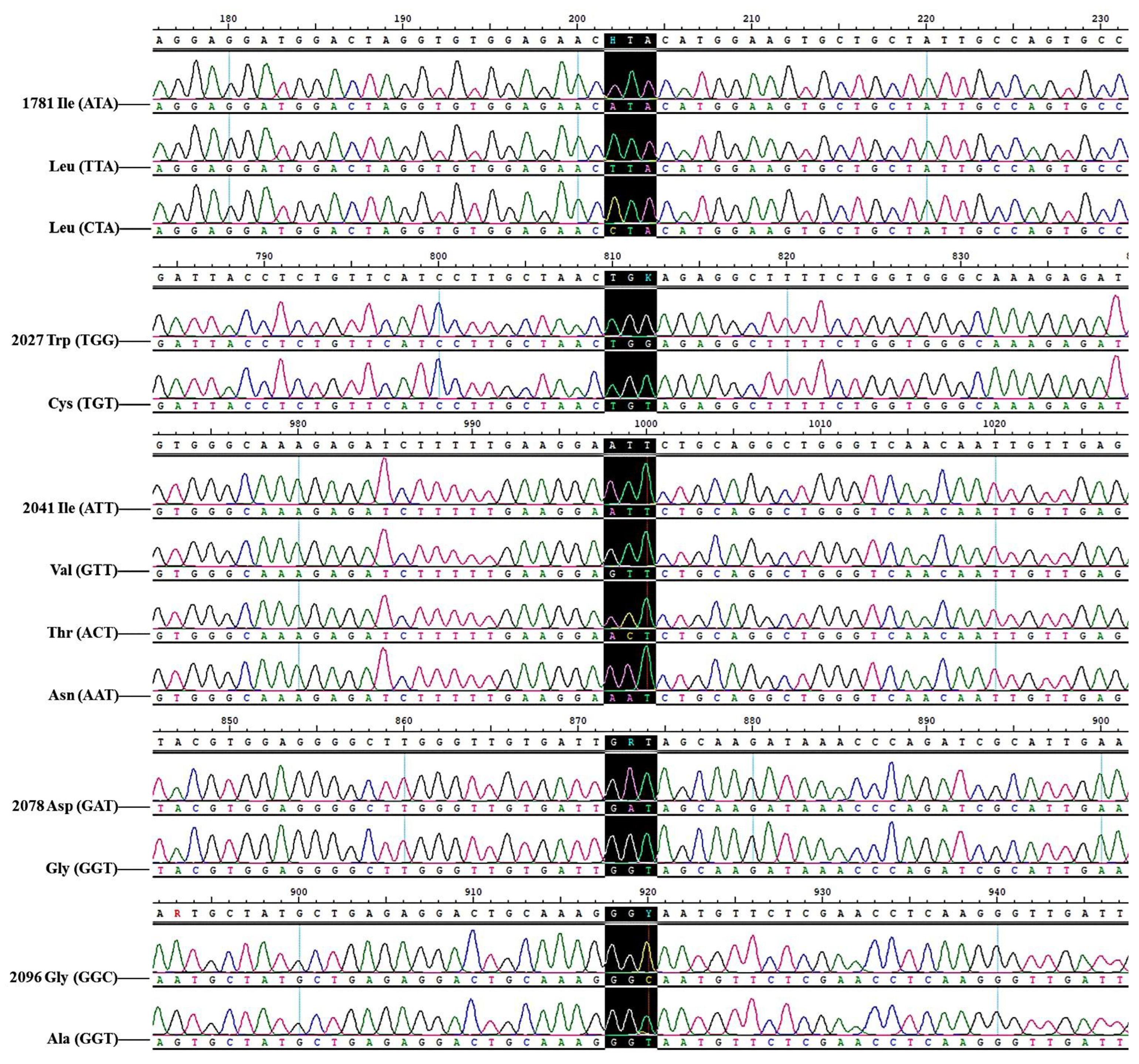 Agronomy 15 00314 g003