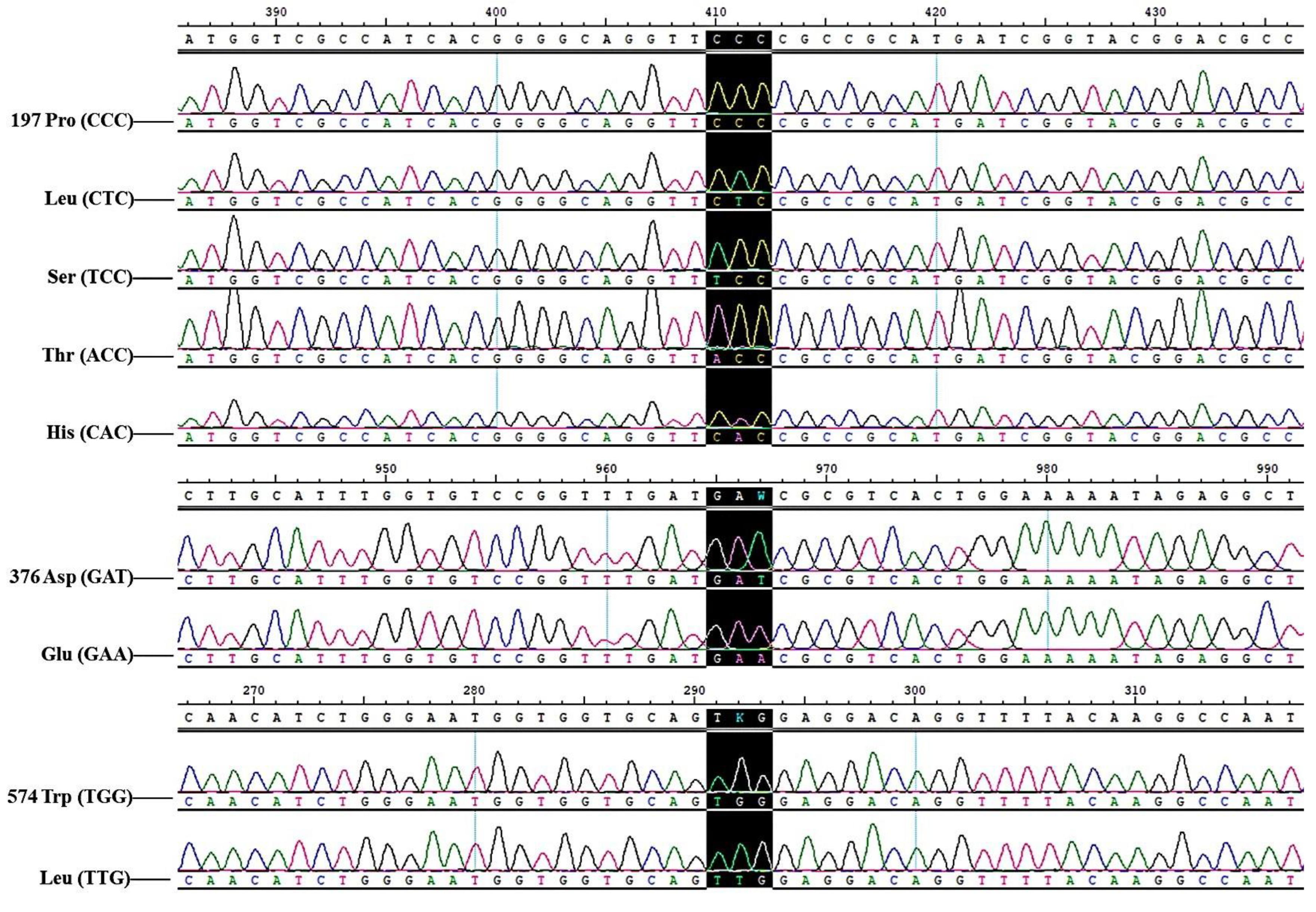Agronomy 15 00314 g004