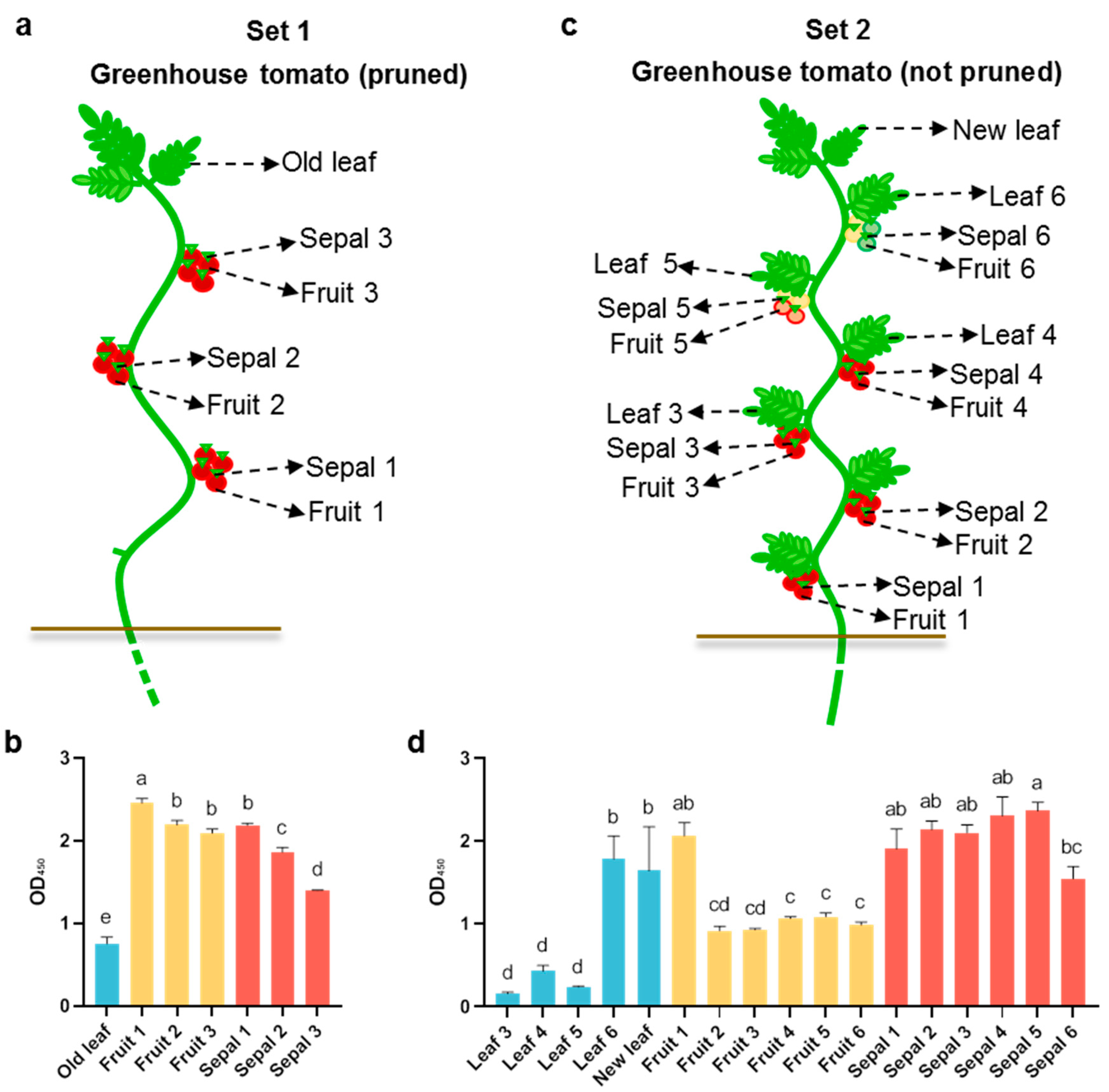 Agronomy 15 00318 g002