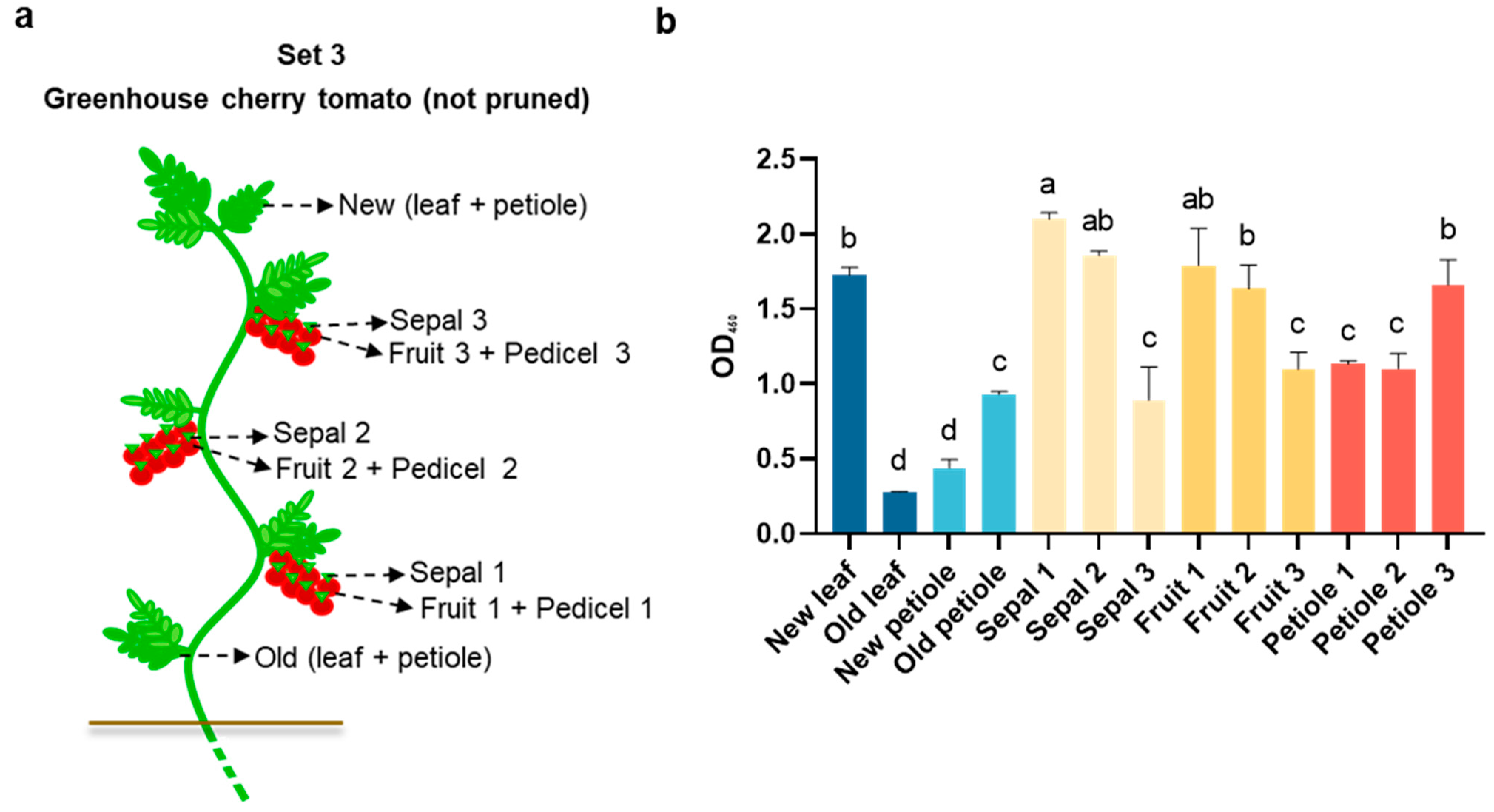Agronomy 15 00318 g003