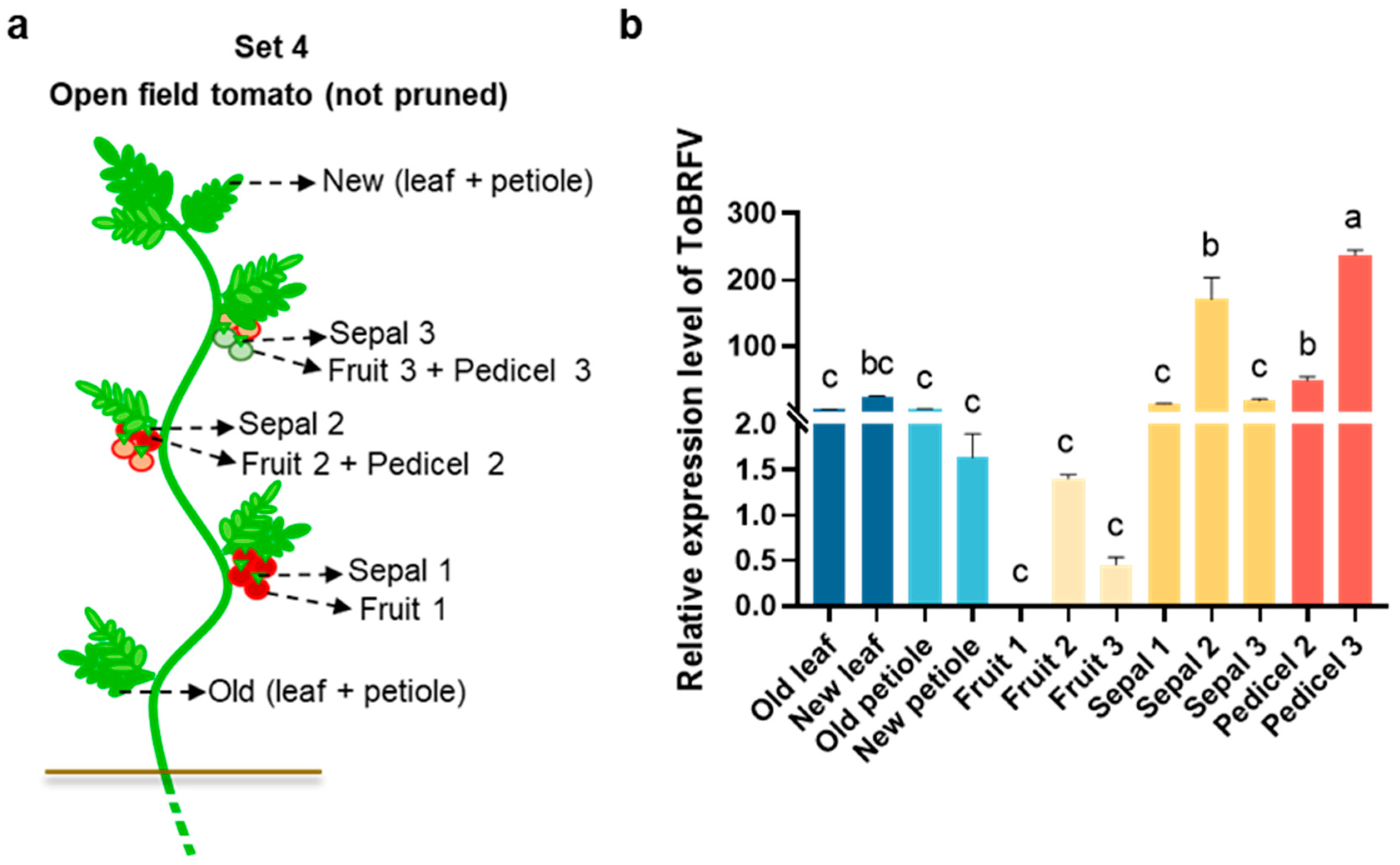 Agronomy 15 00318 g004