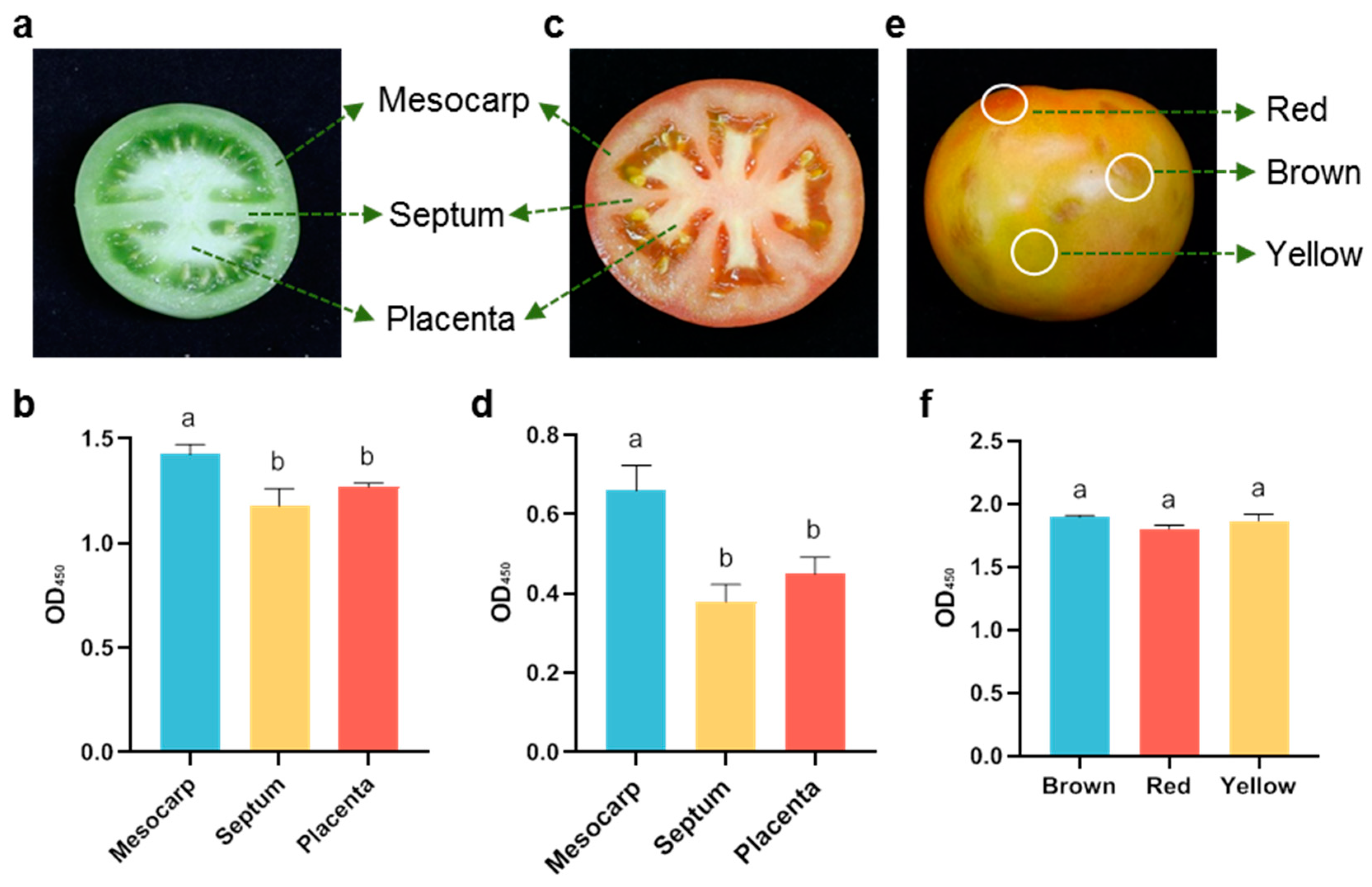 Agronomy 15 00318 g005