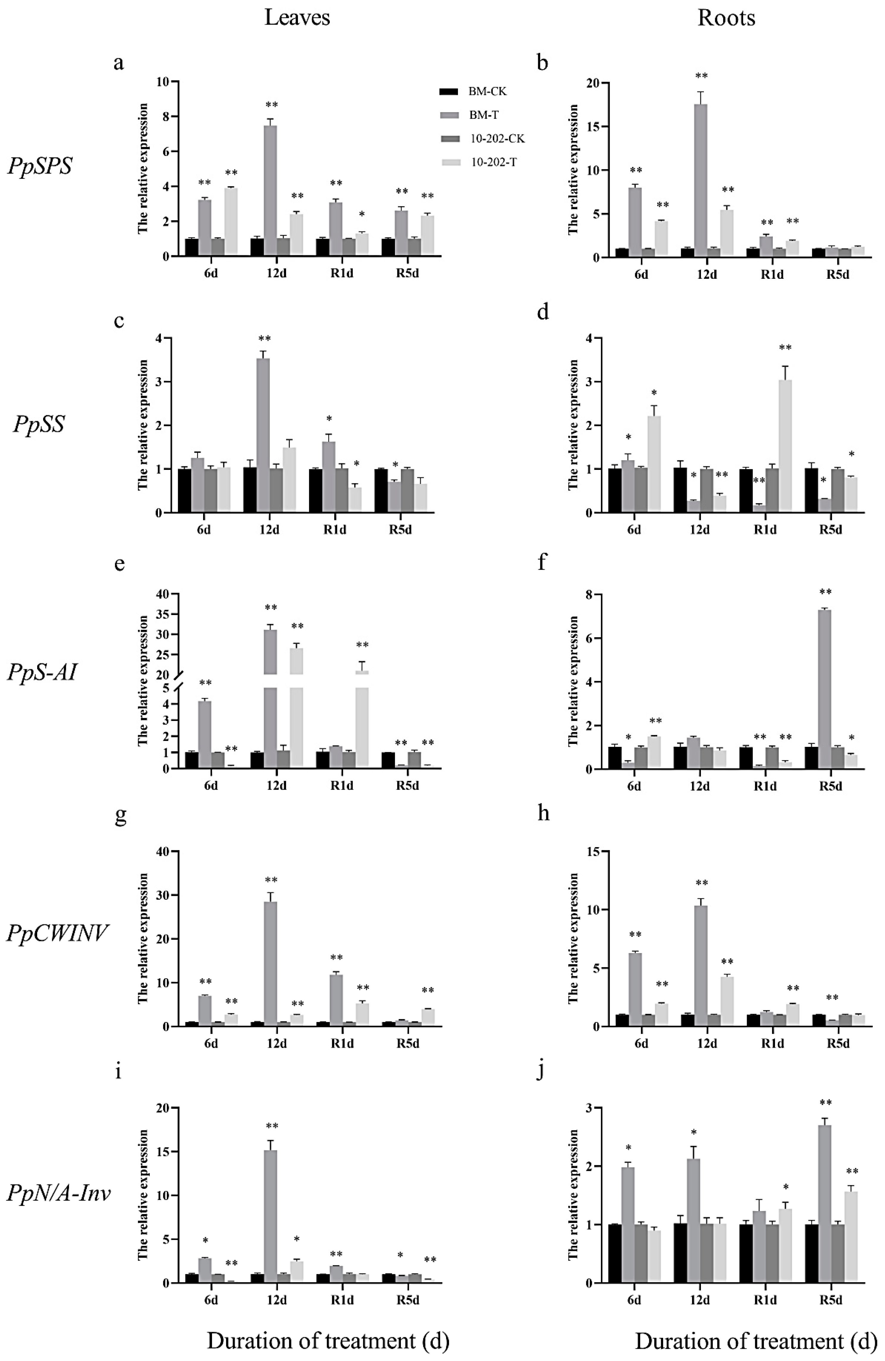 Agronomy 15 00320 g004 Agronomy 15 00320 g004